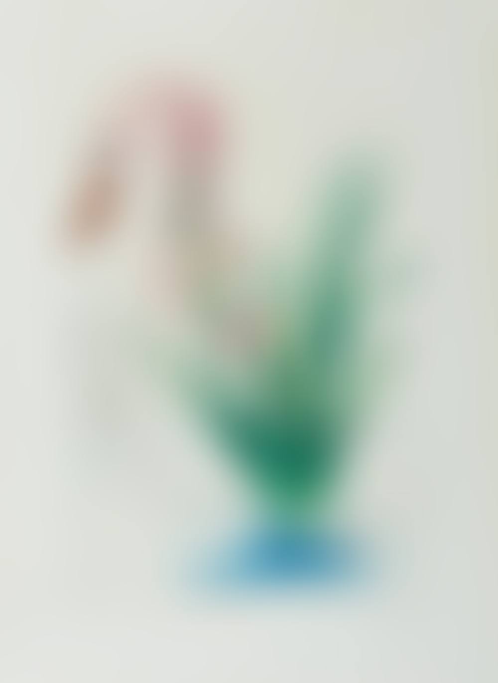 Polyanthes tyberosa et cygnus vegetalis (preview)