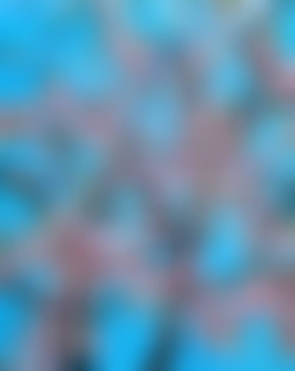 Politeness (preview)
