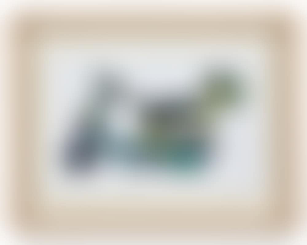 Scooter  (preview)