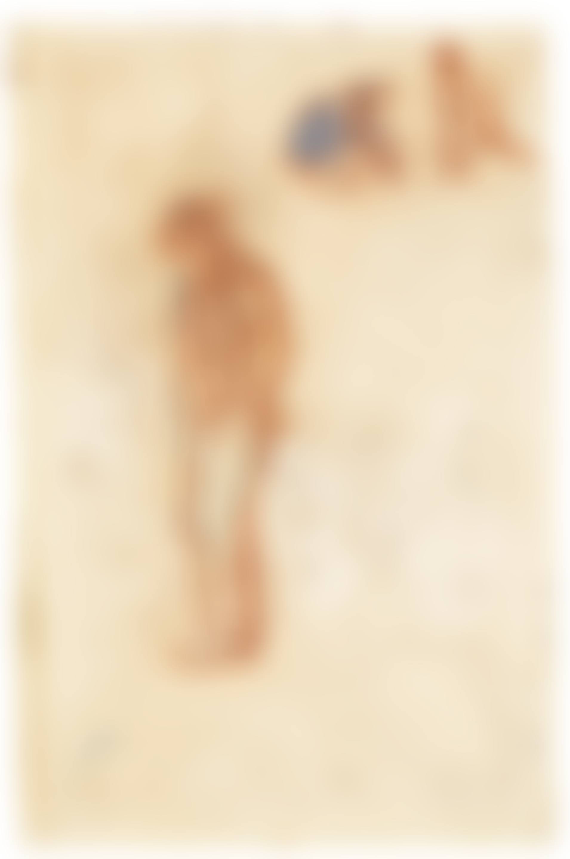Paysan breton (preview)