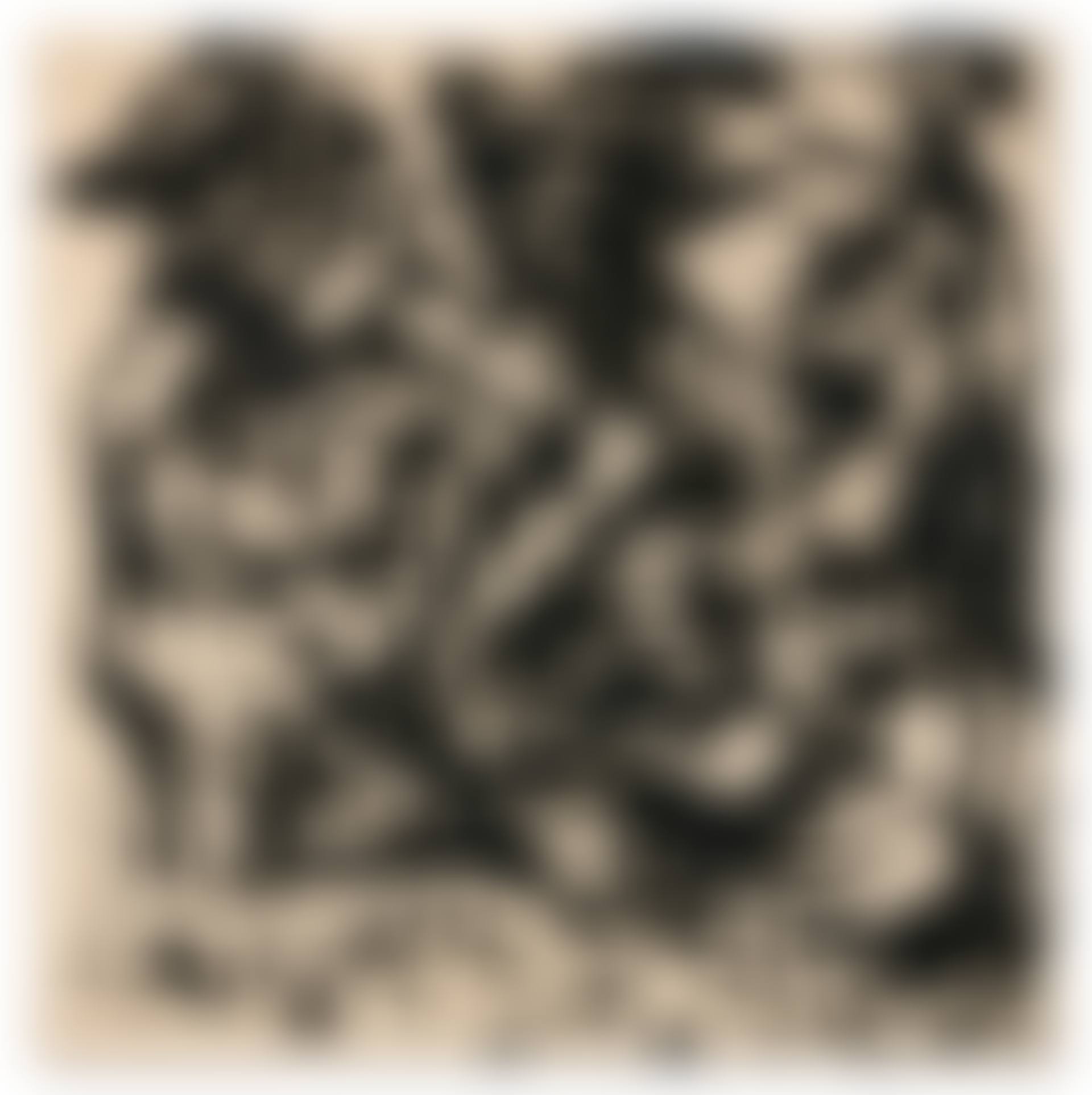 Number 17 (preview)