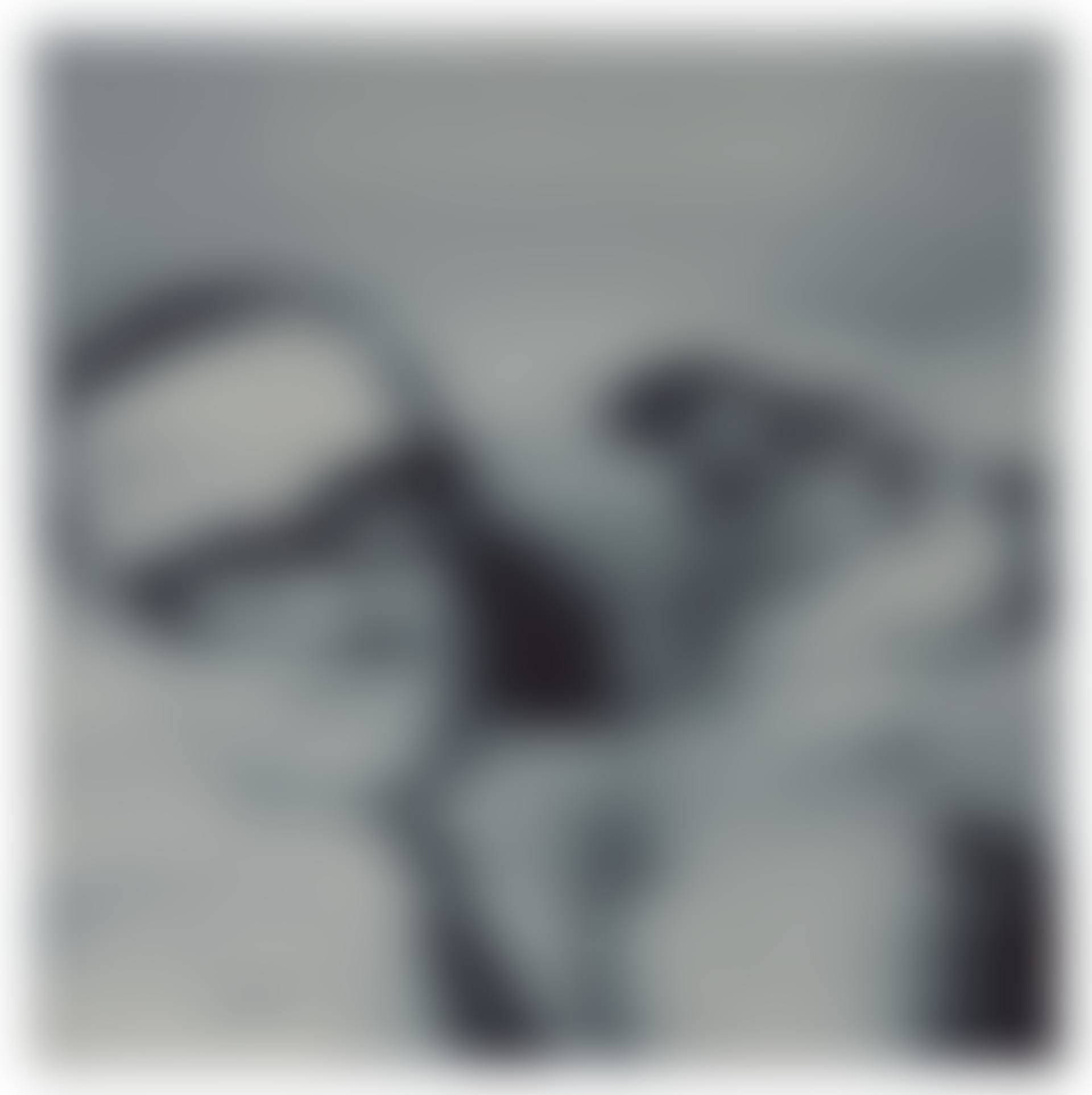 Sammler mit Hund (preview)