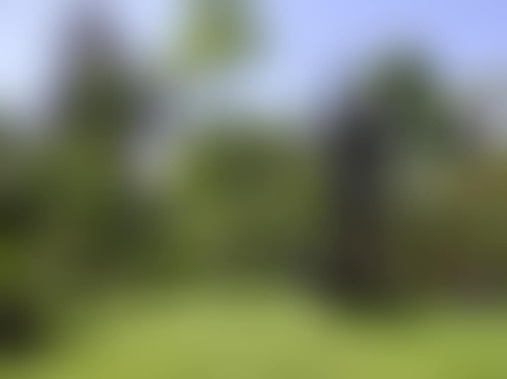 EPICUREAN (preview)