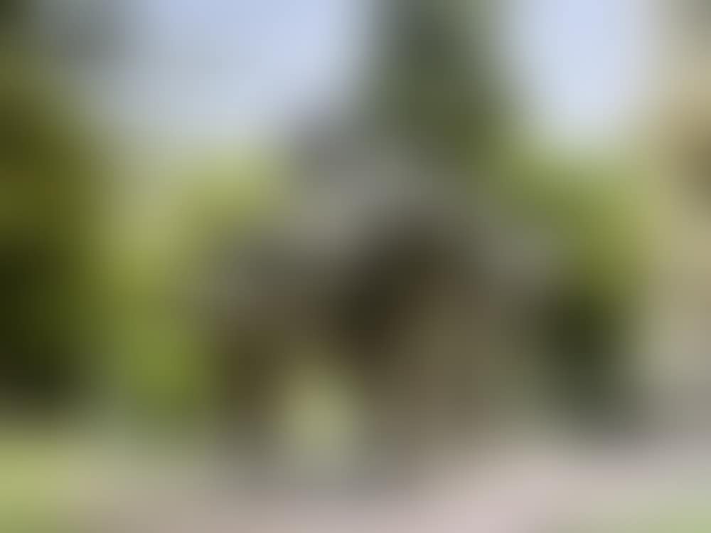 MENTAL LANDSCAPE (preview)