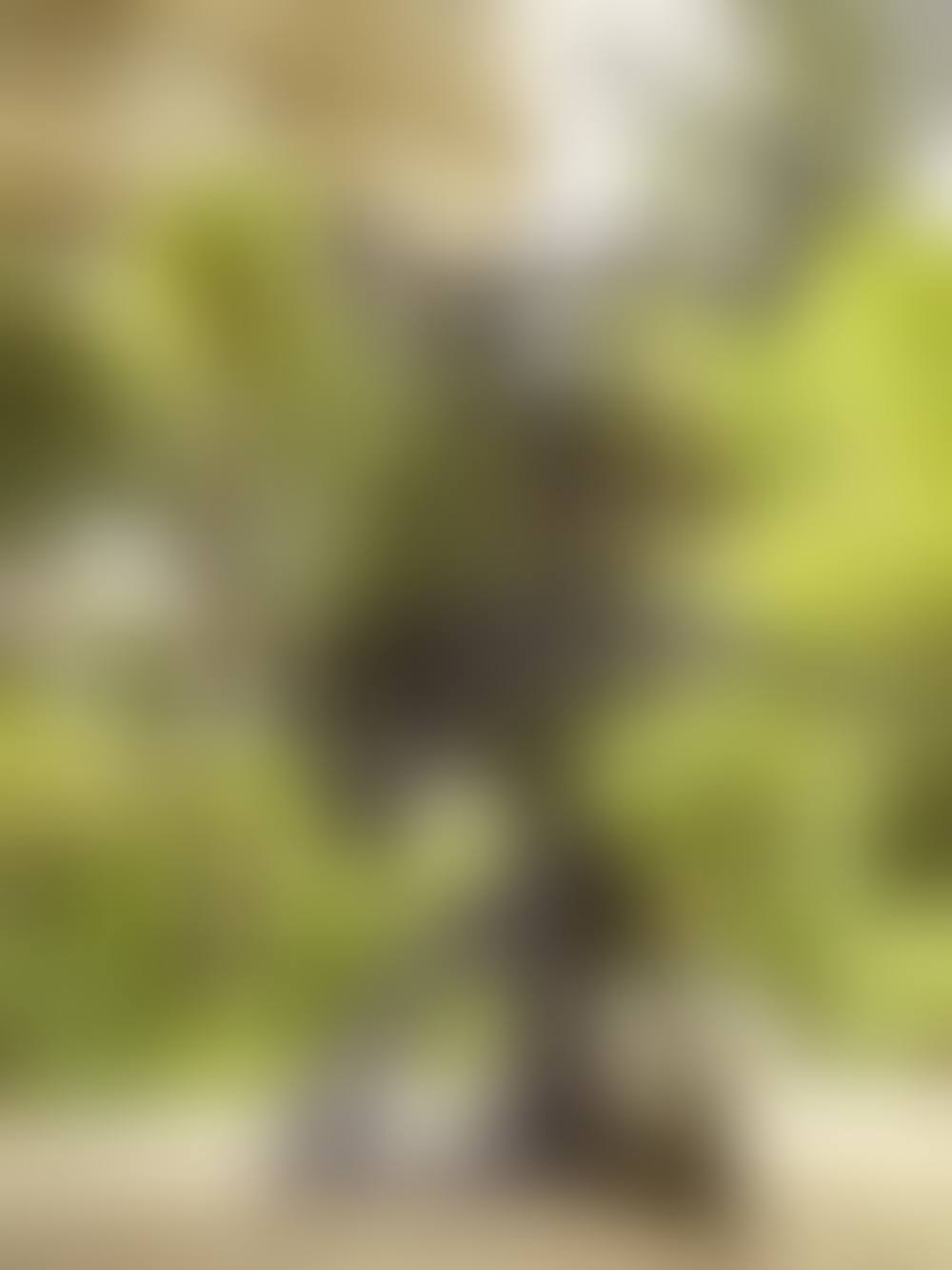 GIROUETTE ETE (preview)