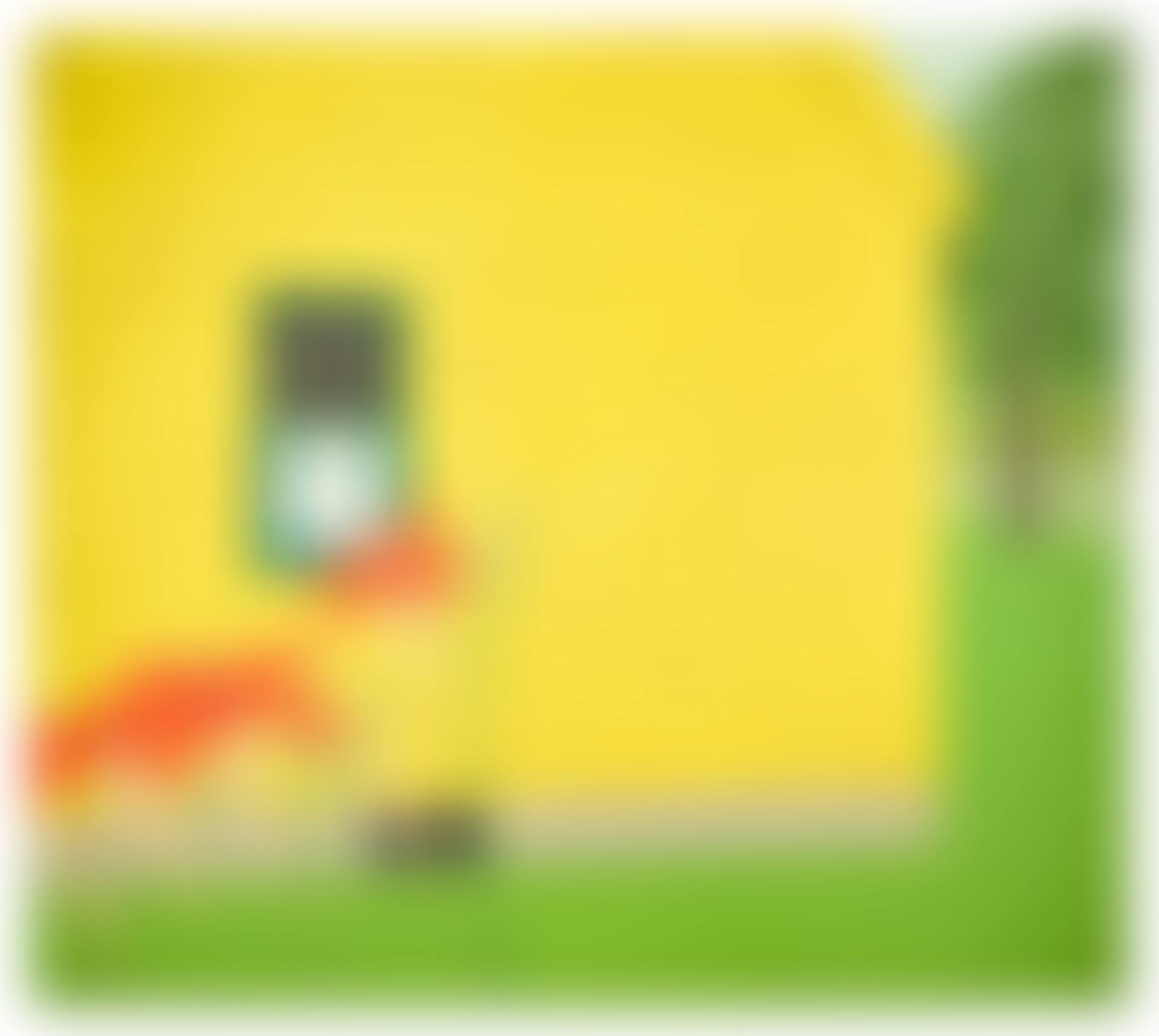 The Yellow House (preview)