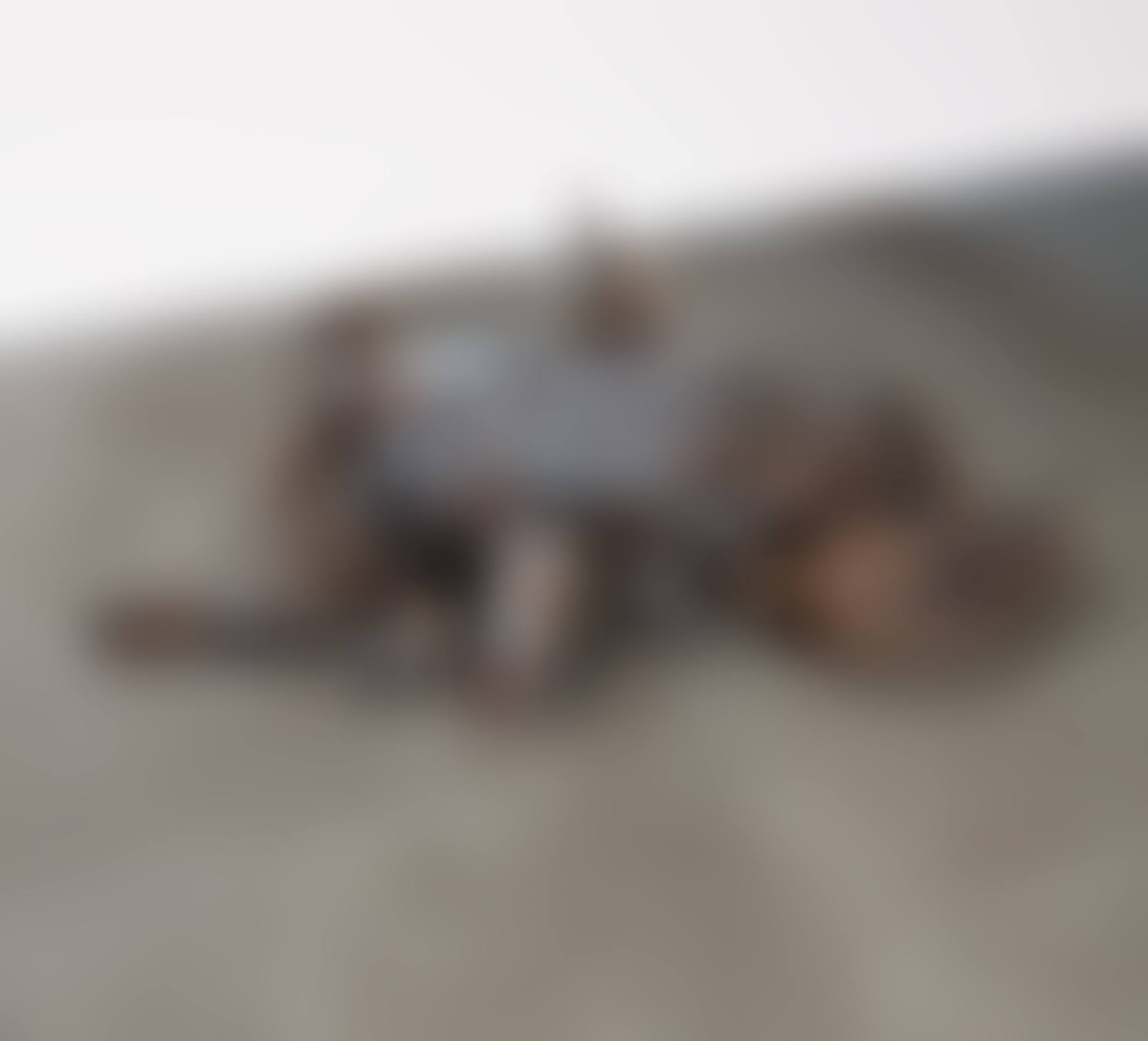 Gustav's Wing (preview)