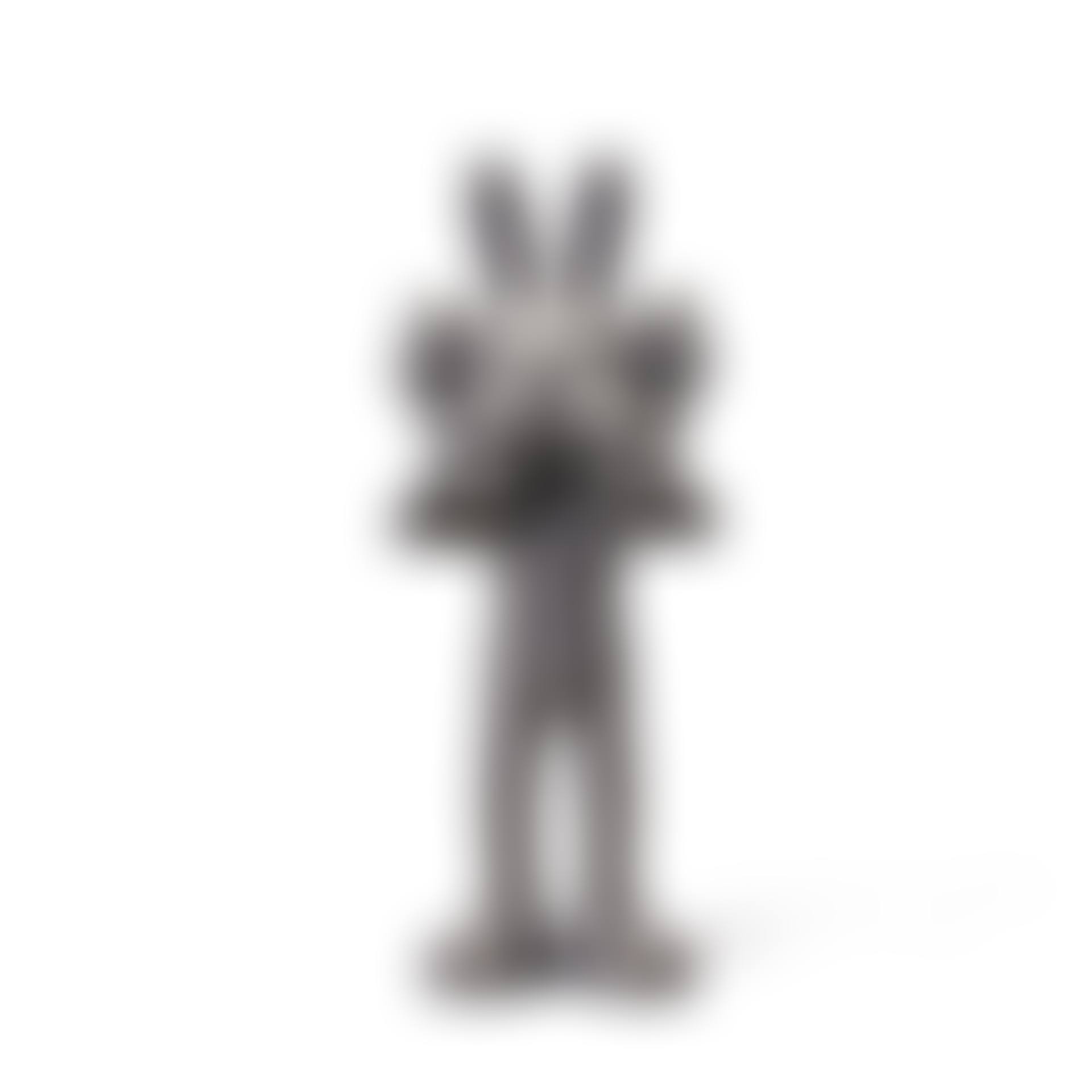 KAWS Accomplice (preview)