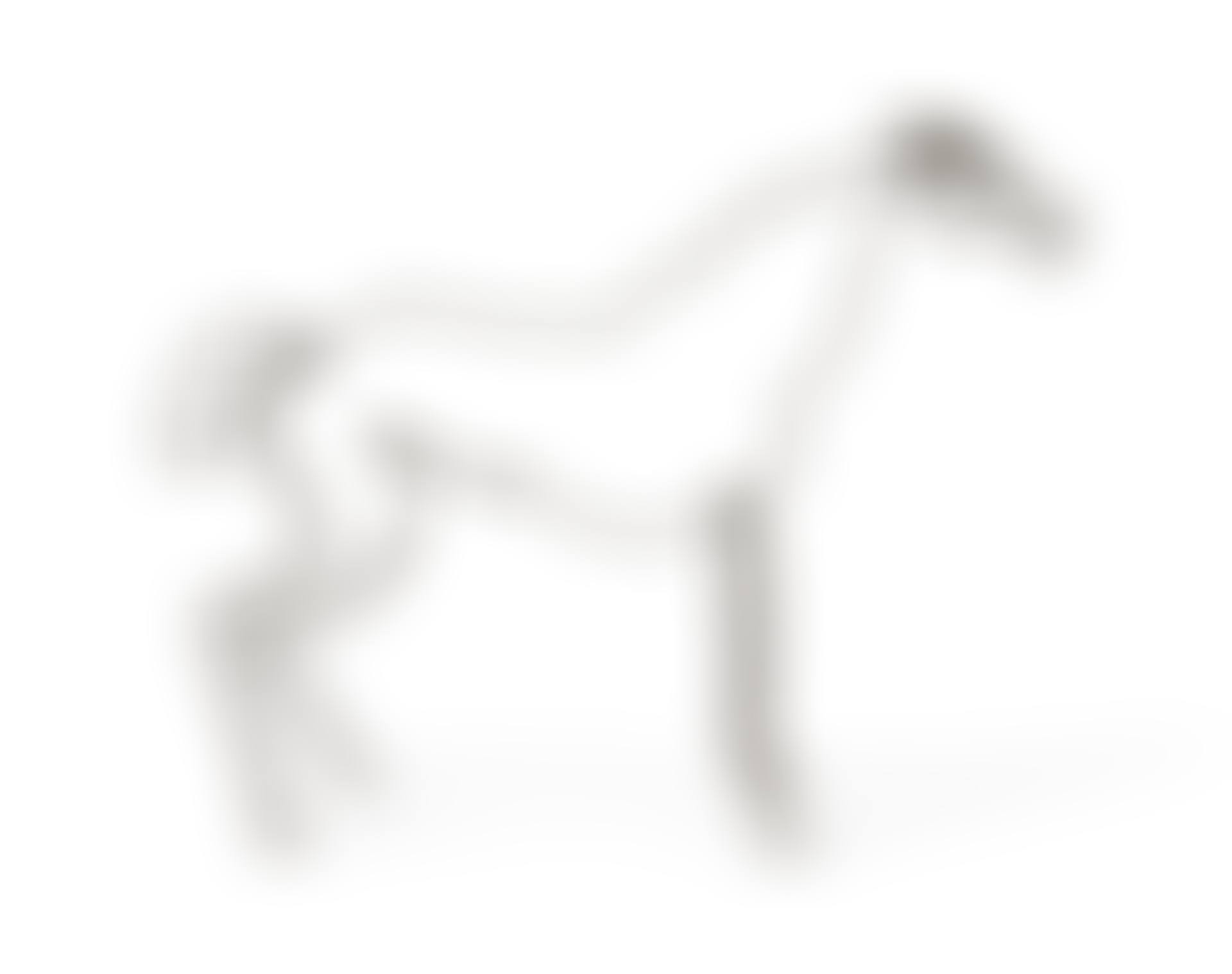 Horse (preview)