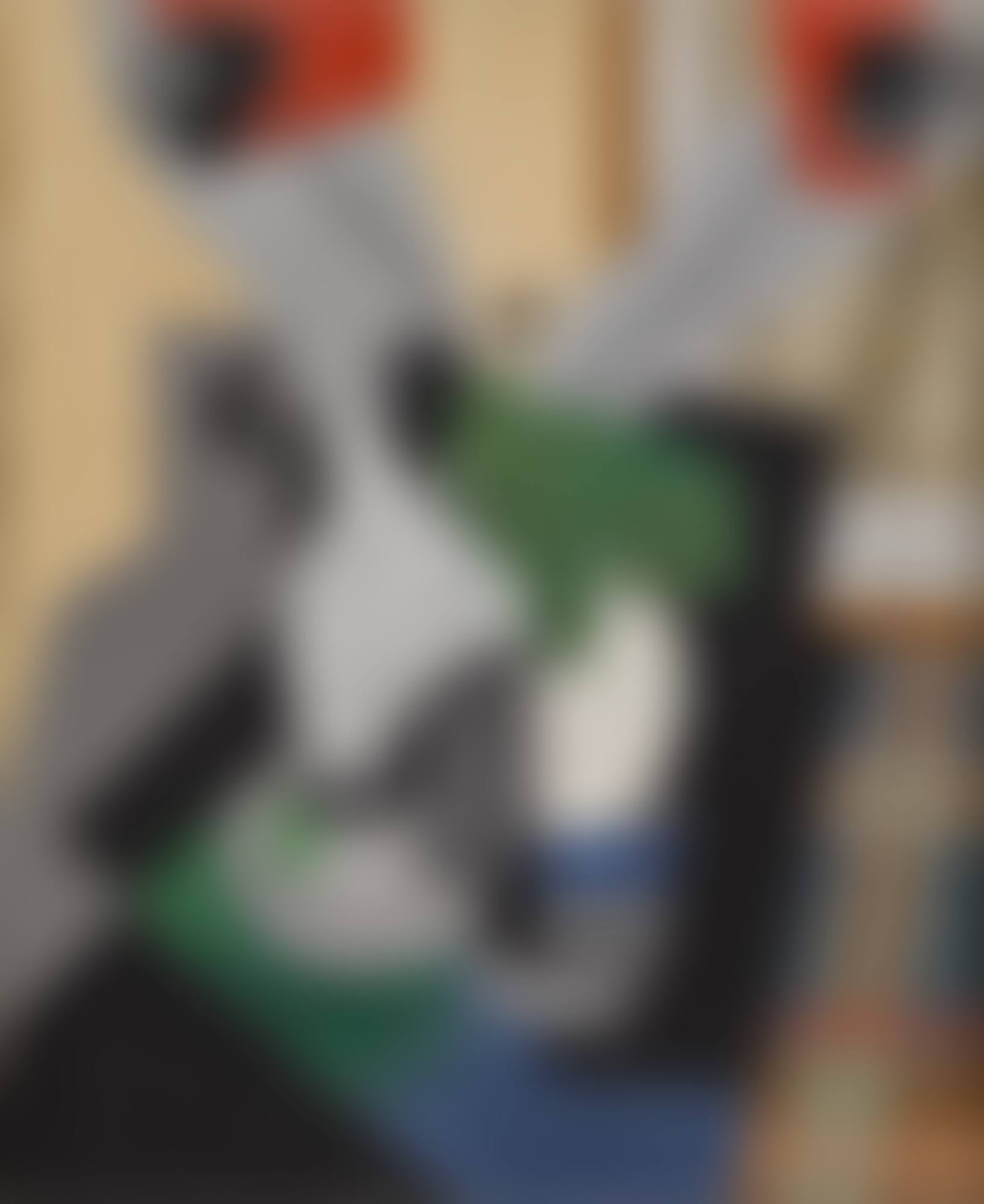 I Tulipani (preview)