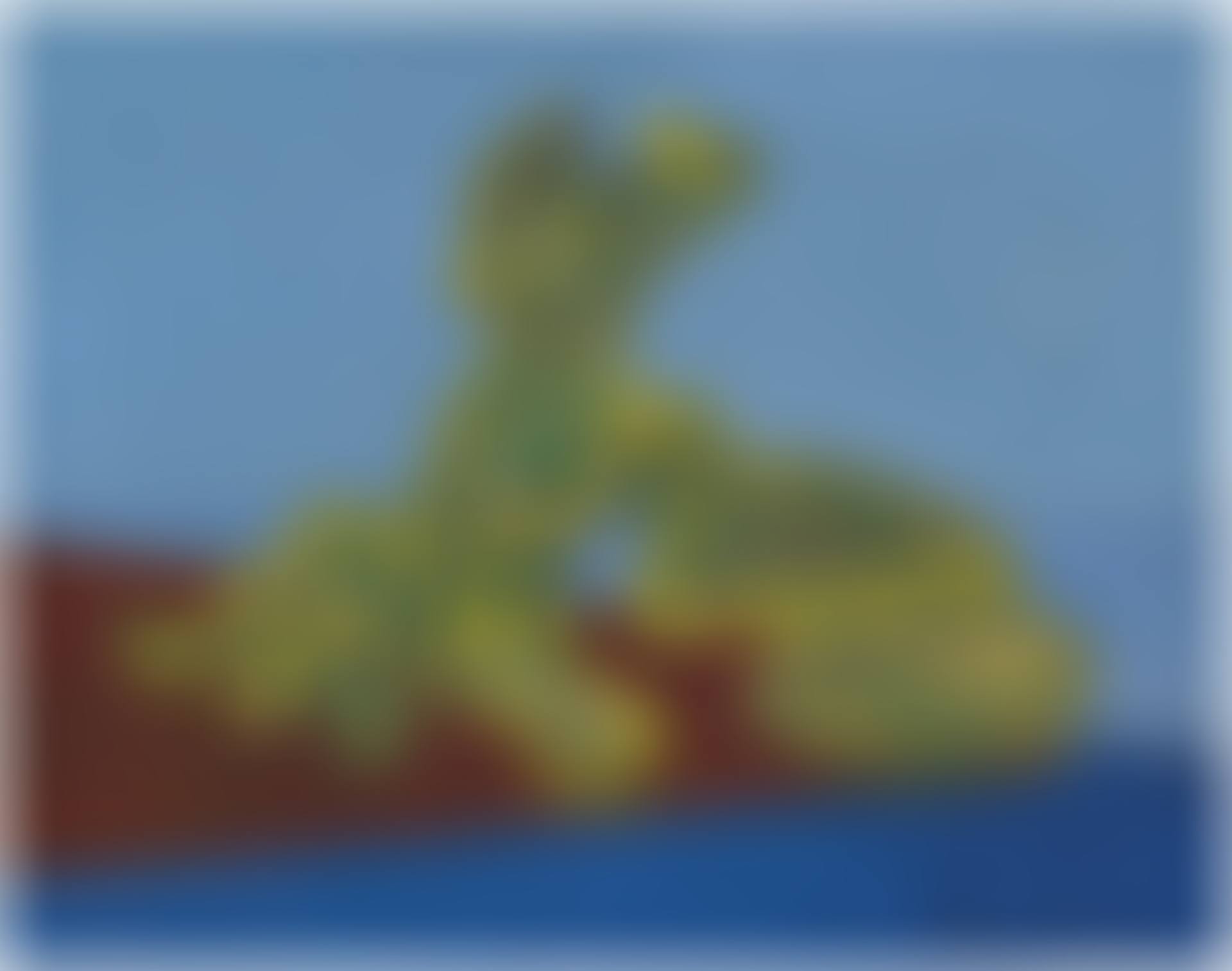 Le Chant de la grenouille (preview)