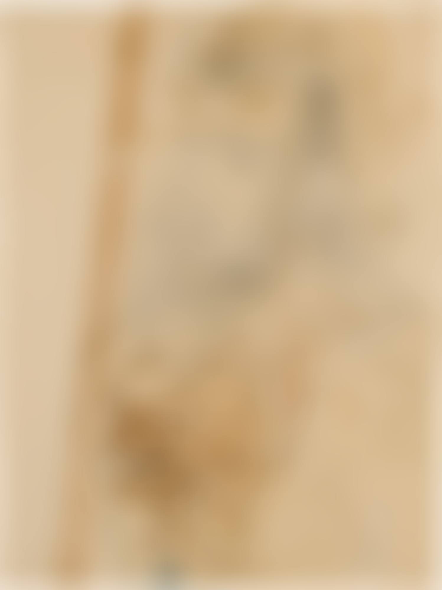 Condottière (Portrait of an Unknown Young Nordic) (preview)