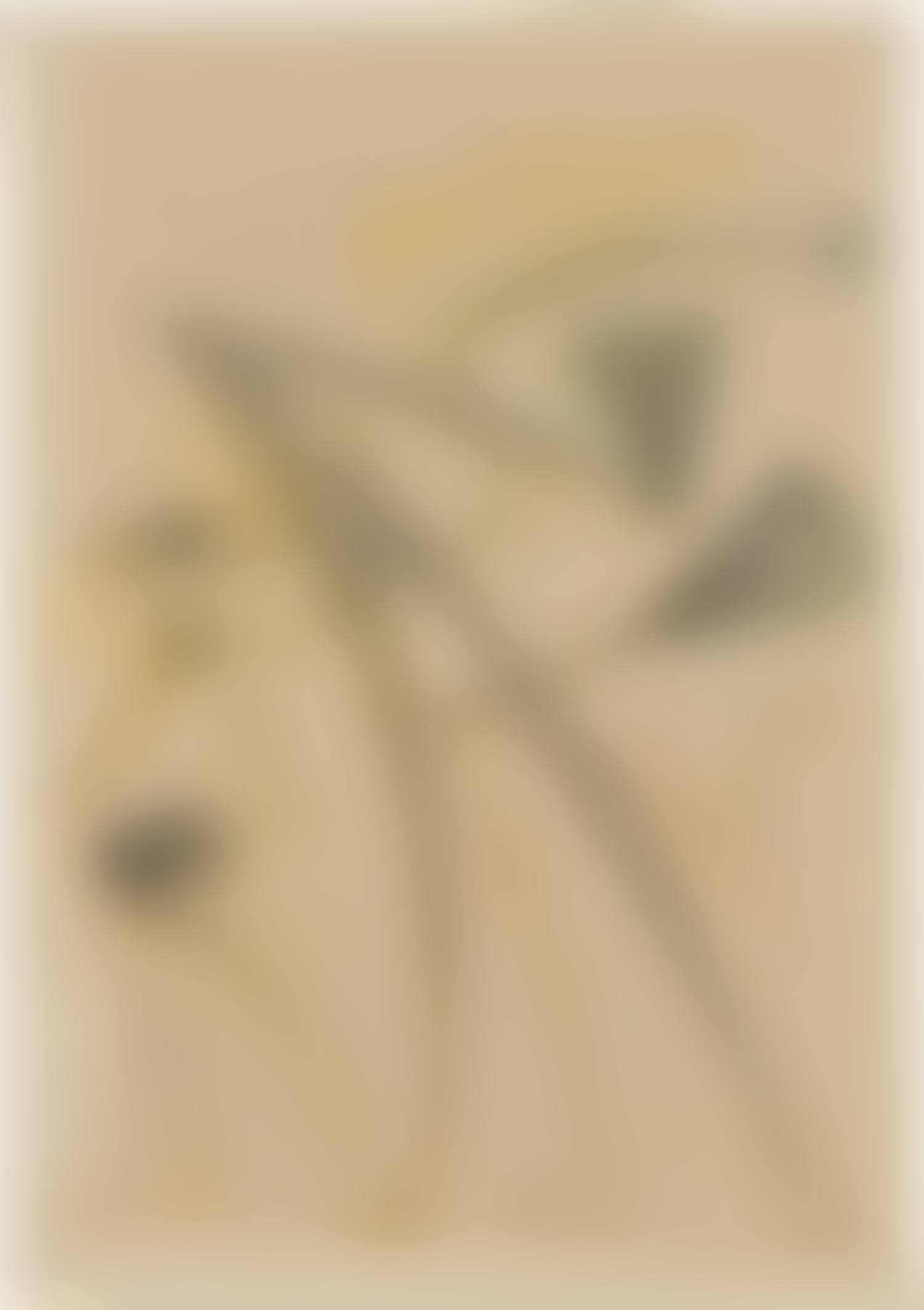 Ohne Titel (preview)