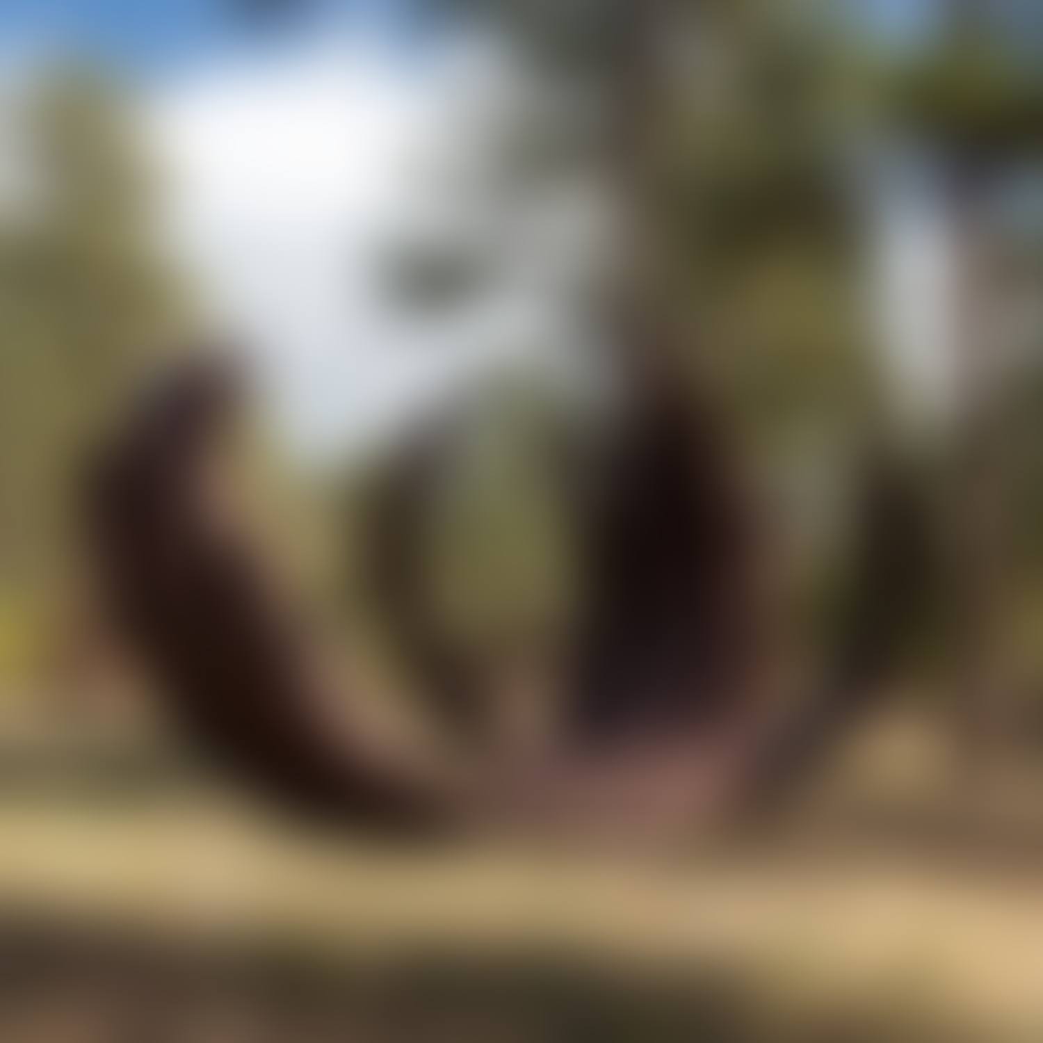 221.5° Arc x 15 (preview)