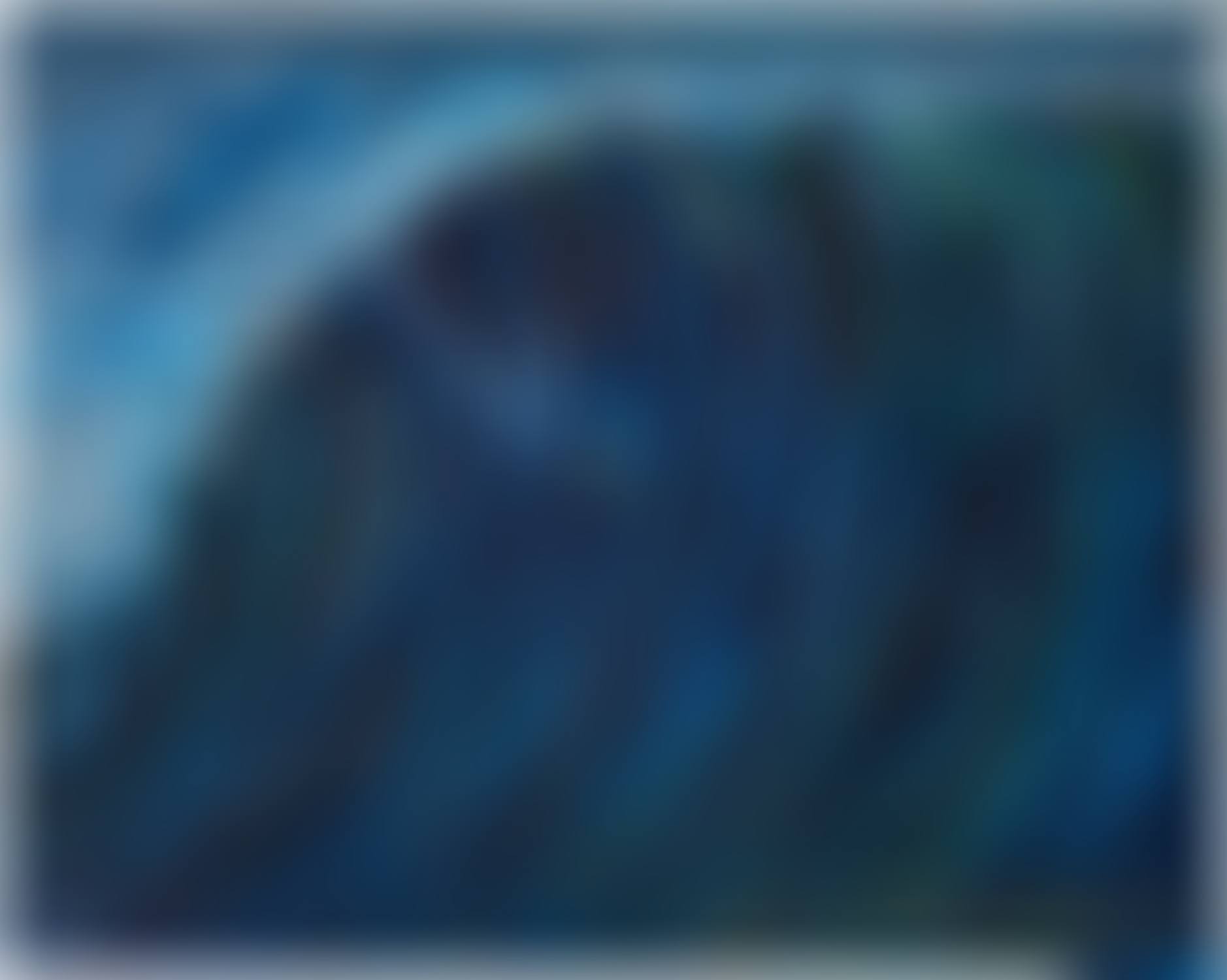 Untitled (The view from beyond the breakers) (preview)