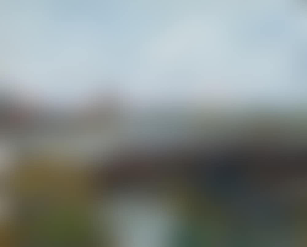 Moulin dans les environs de Rotterdam (preview)