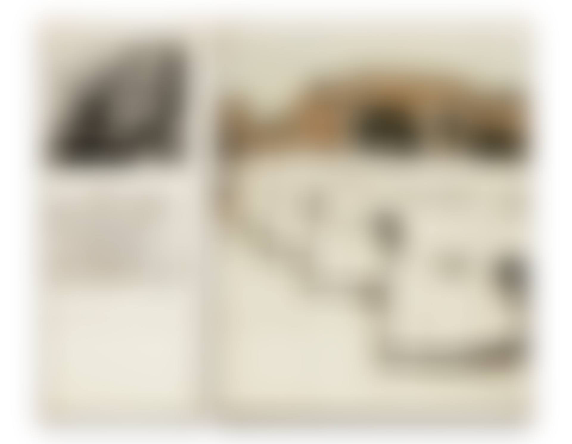 The Pont Neuf, Wrapped (Project for Paris) (preview)