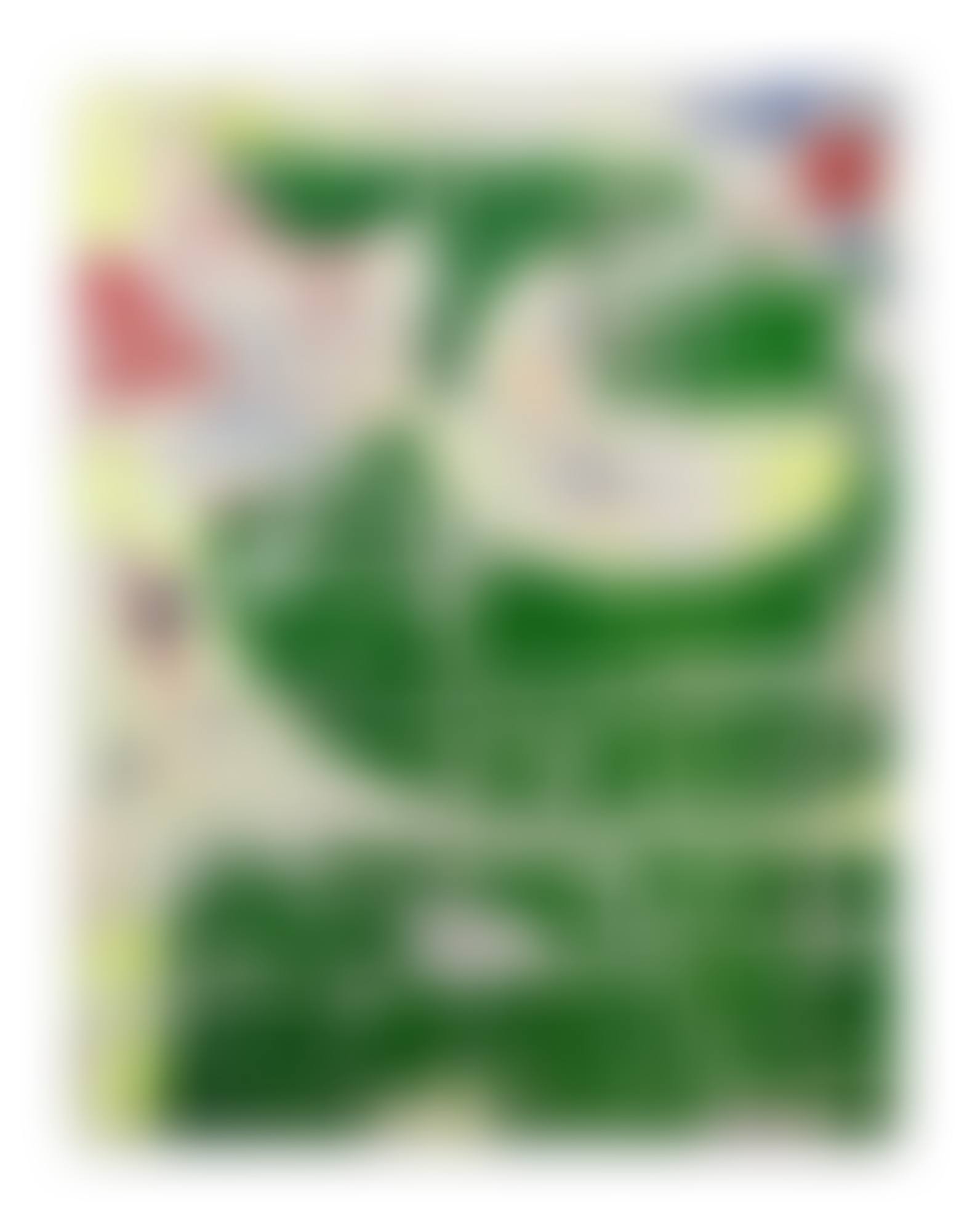 L'italienne de Nantes (preview)