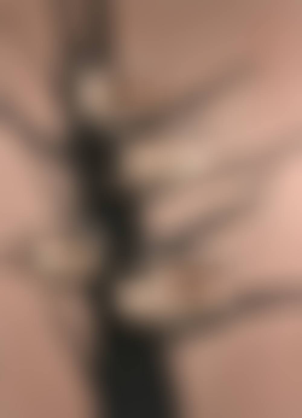 Tree hut plan - Group 8 (preview)