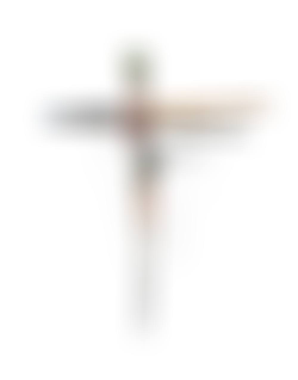 Crucifix (preview)