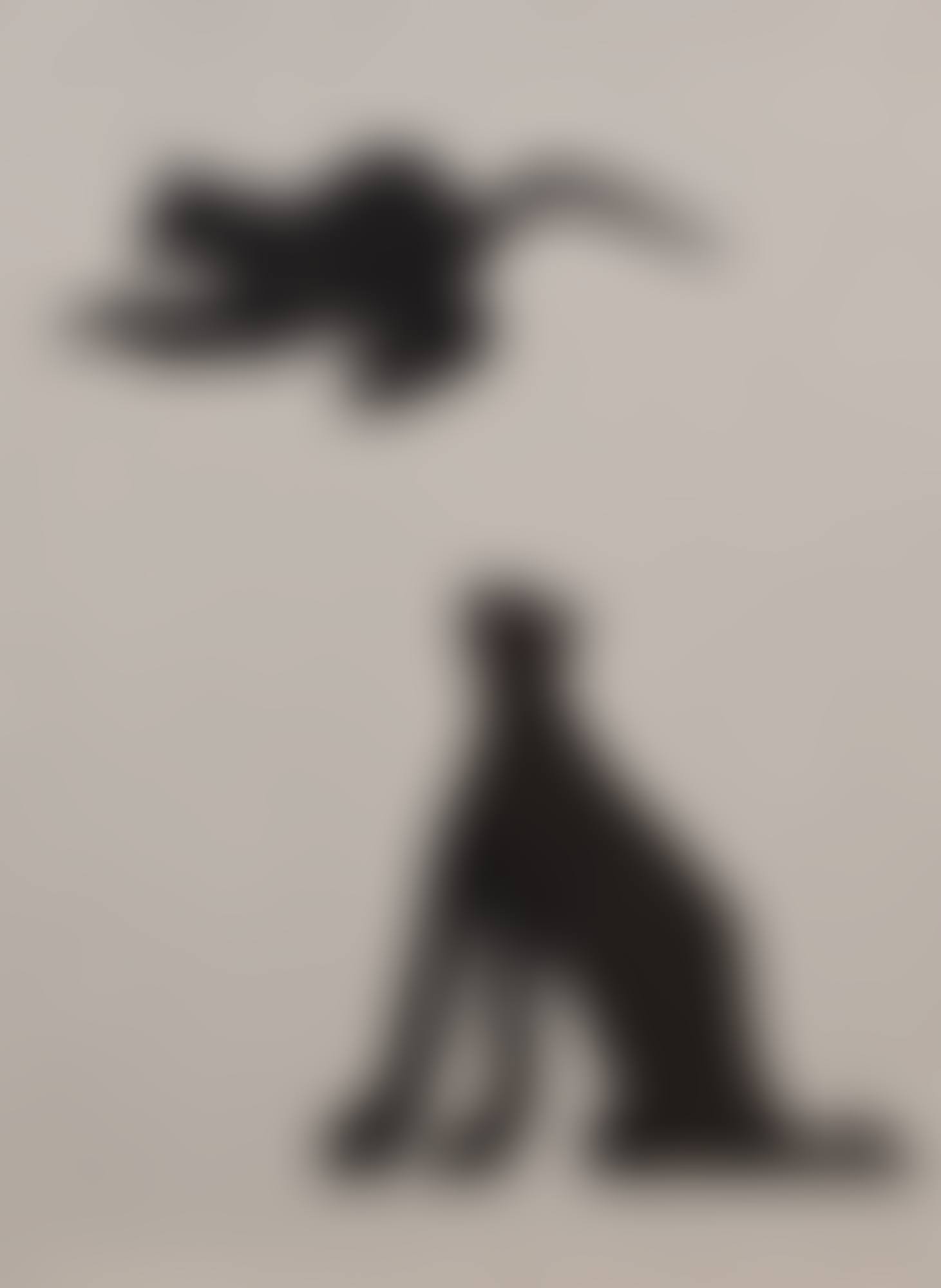 Deux chats (preview)
