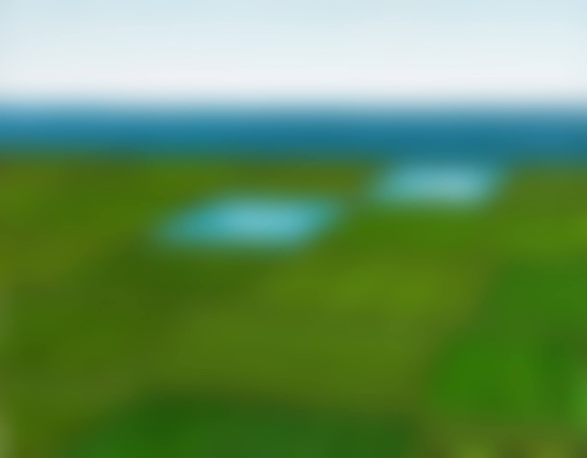 Garden in my mind (preview)