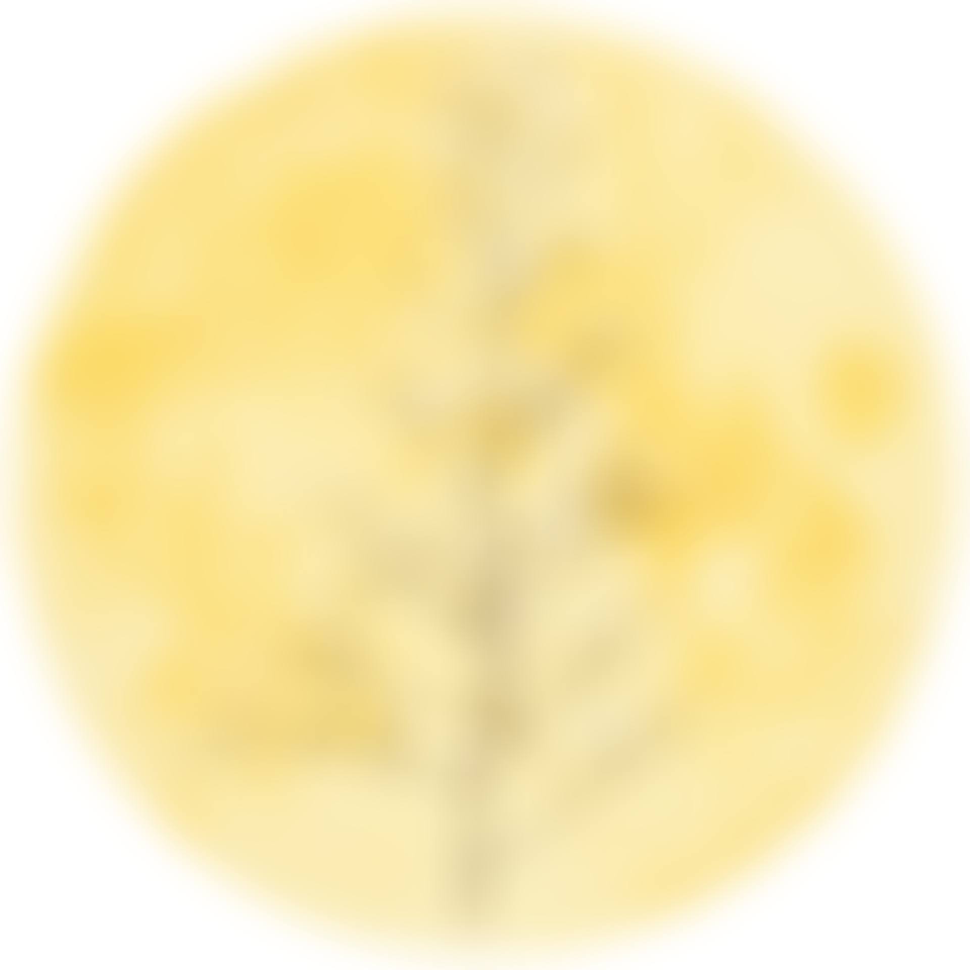 The Moon and Weeds1 (preview)