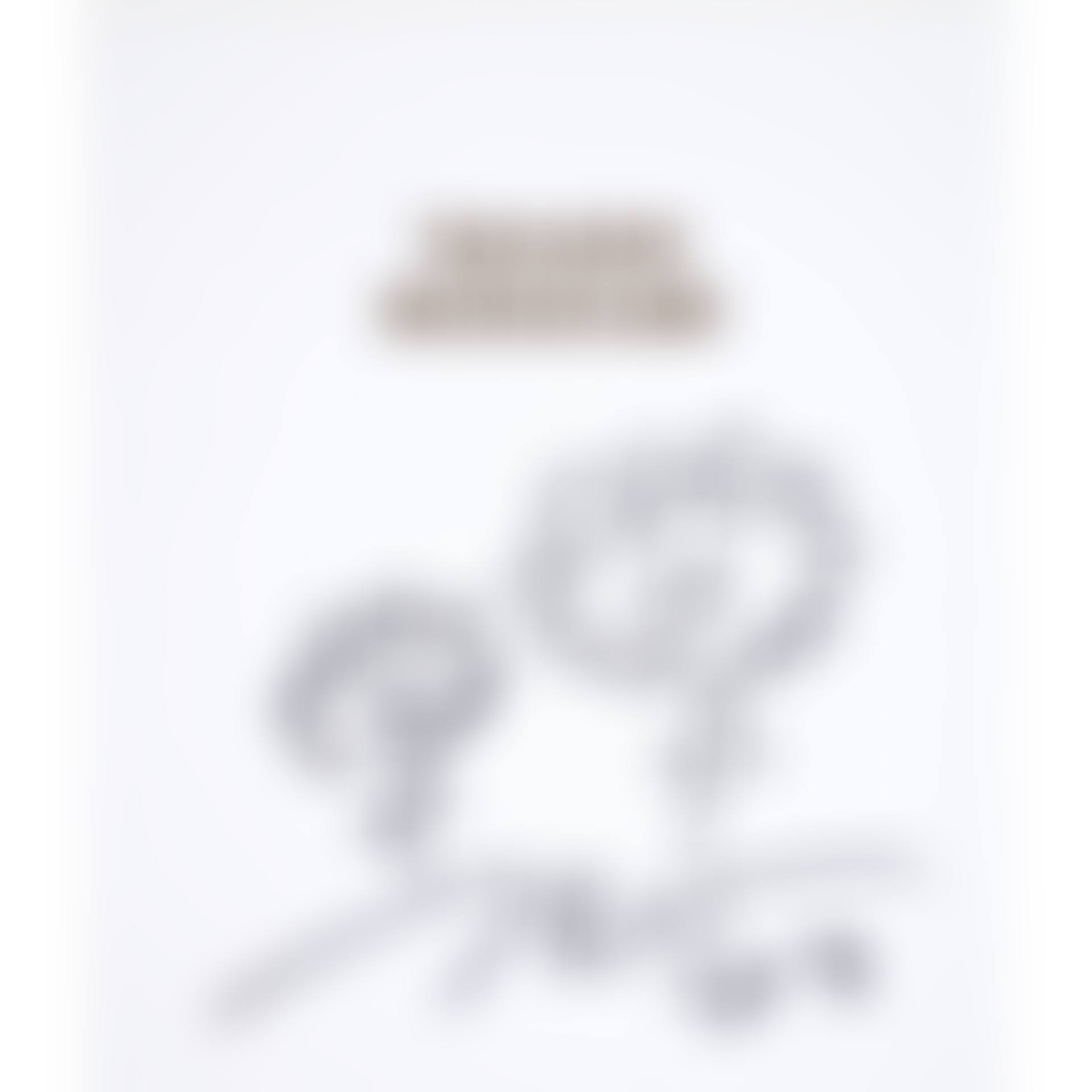 Flowers Drawing, from The Octopus Eats Its Own Leg exhibition catalogue (preview)