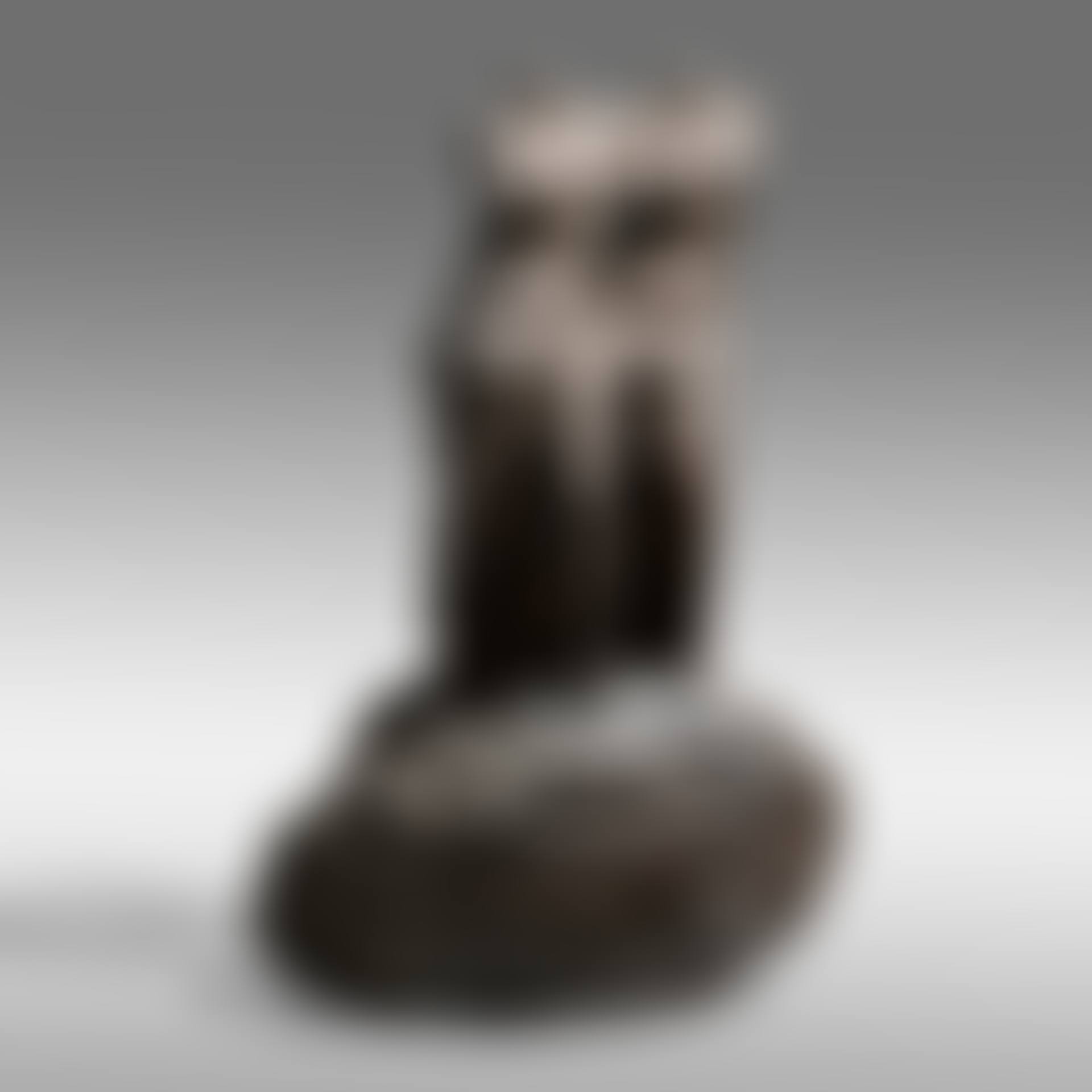 Study for Two Venuses (preview)