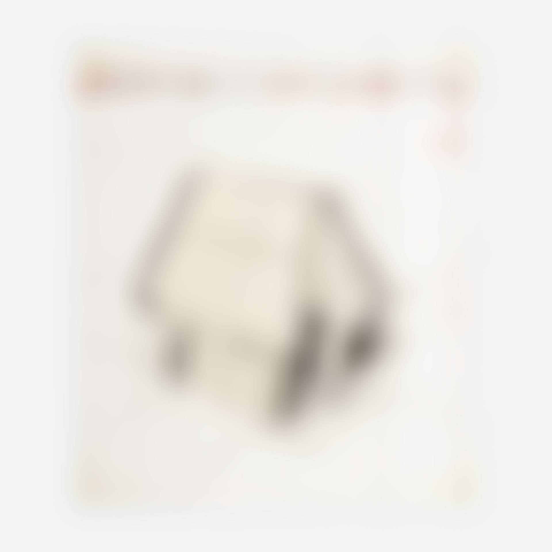 Wrapped Snoopy House, Project for Charles M. Schulz Museum (preview)
