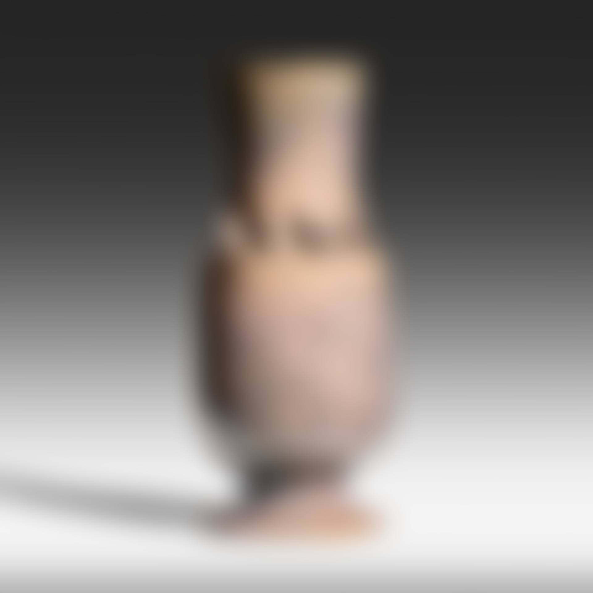 Vase (preview)