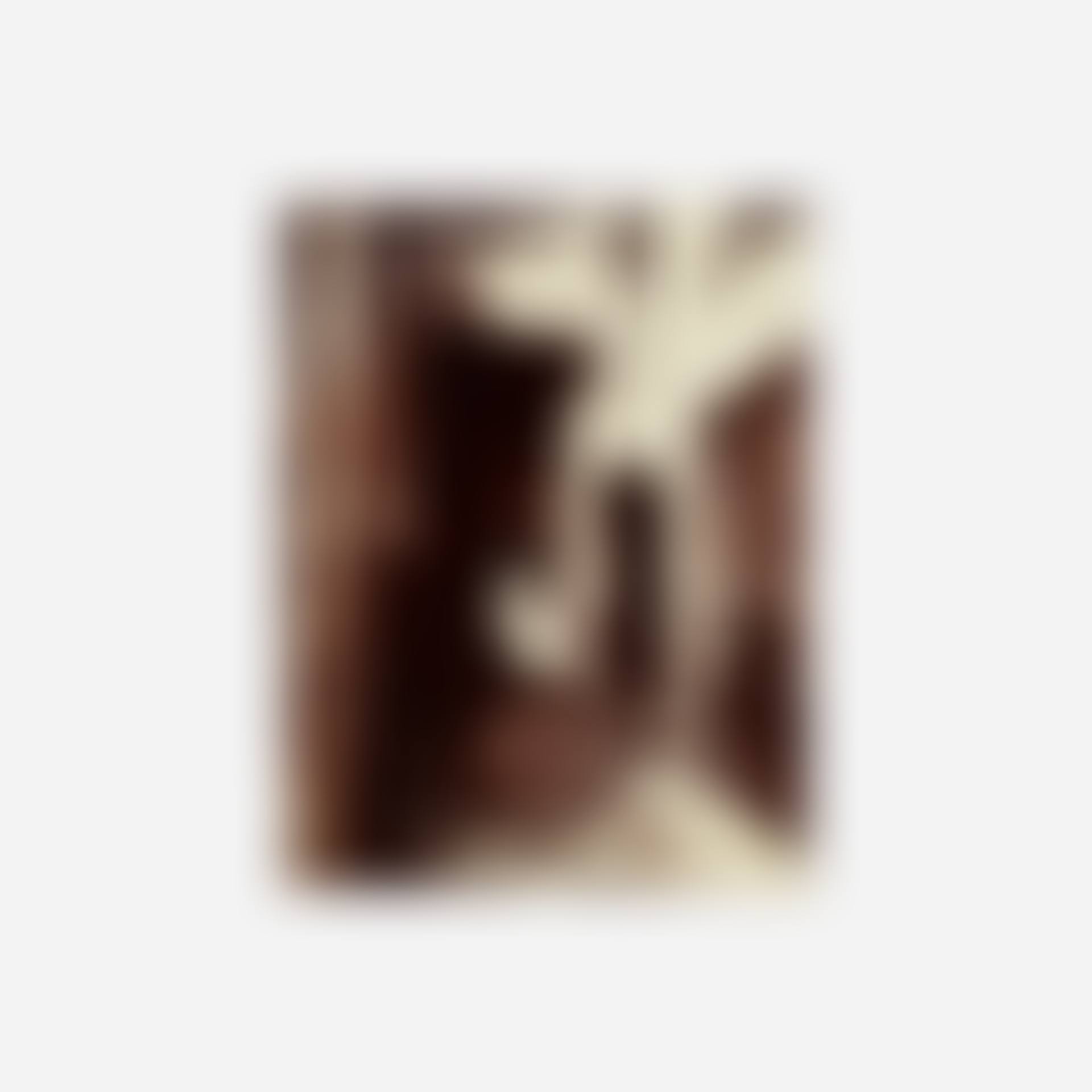 Cour 12 rue Pierre du Lard (preview)