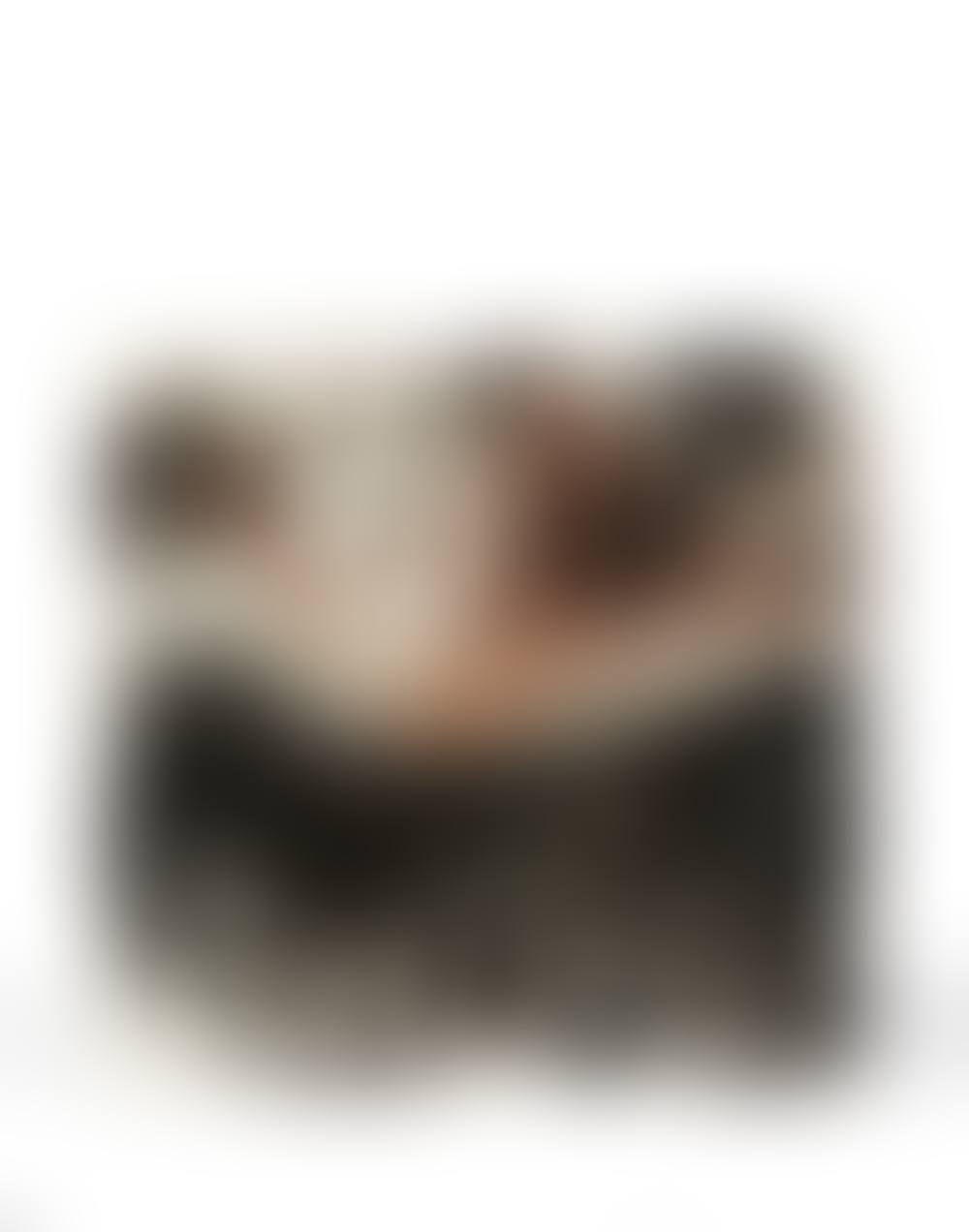 C3 (preview)