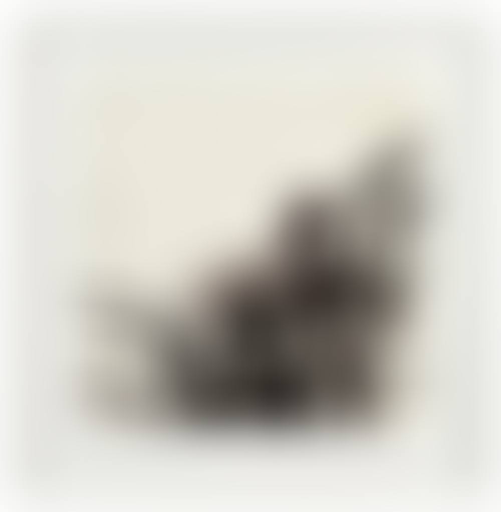 Sans titre (preview)