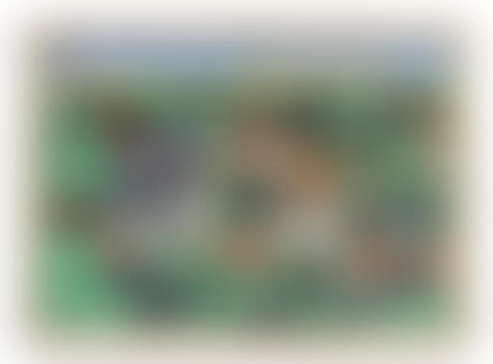 Les pieds nickelés (preview)