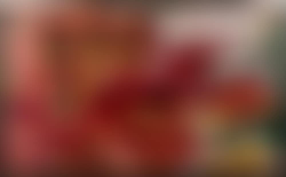 DIE SÄBELZAHNTIGERIN DE MEESEEWOLF (preview)