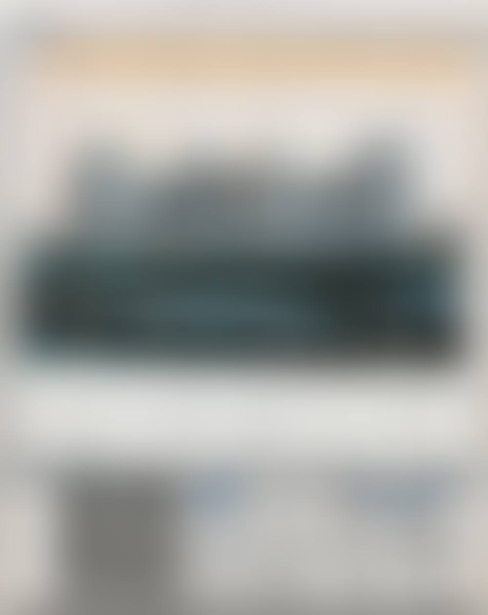 WRAPPED REISCHTAG (PROJECT FOR BERLIN) (preview)