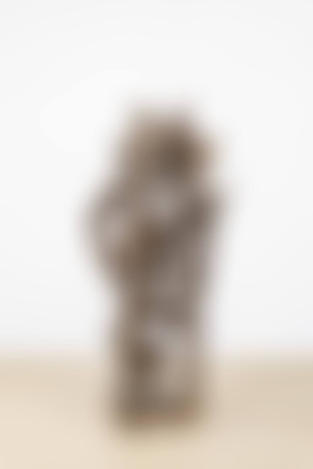 Cinq Shetanis et un serpent (preview)
