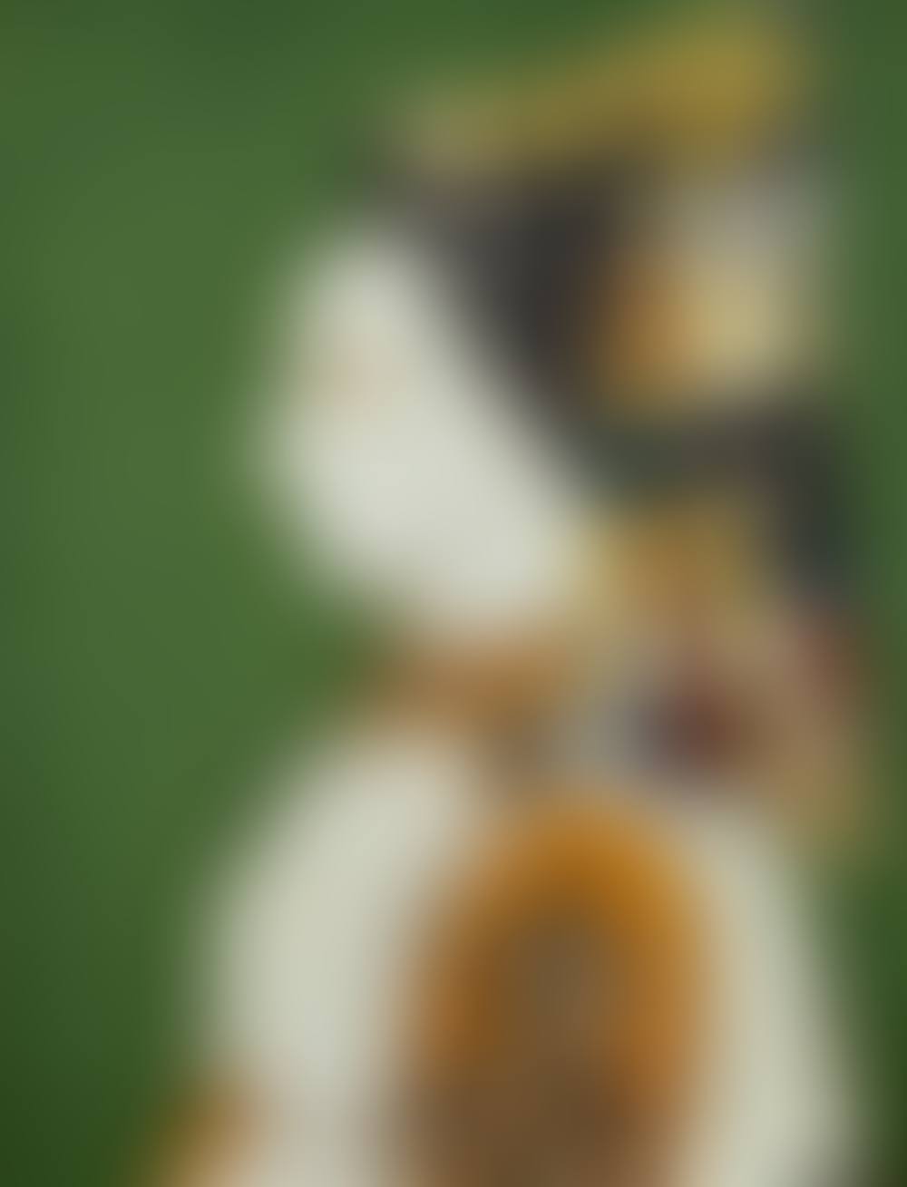 Profil (preview)