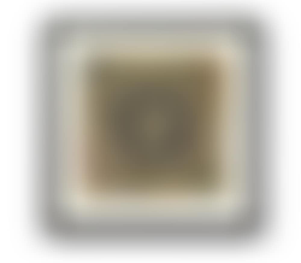 Presidential Seal Album (preview)