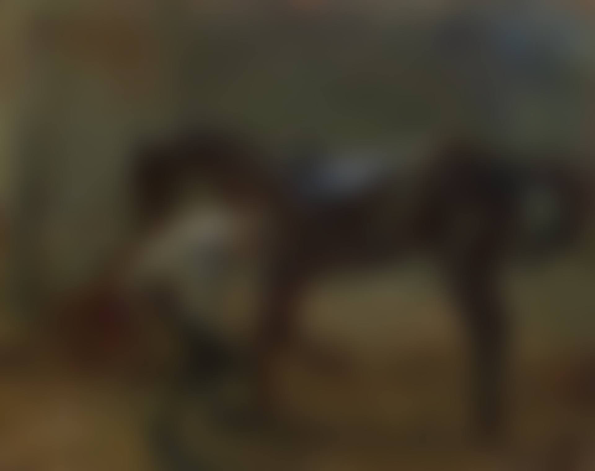 A groom in the stables with 'Betty Mark' (preview)