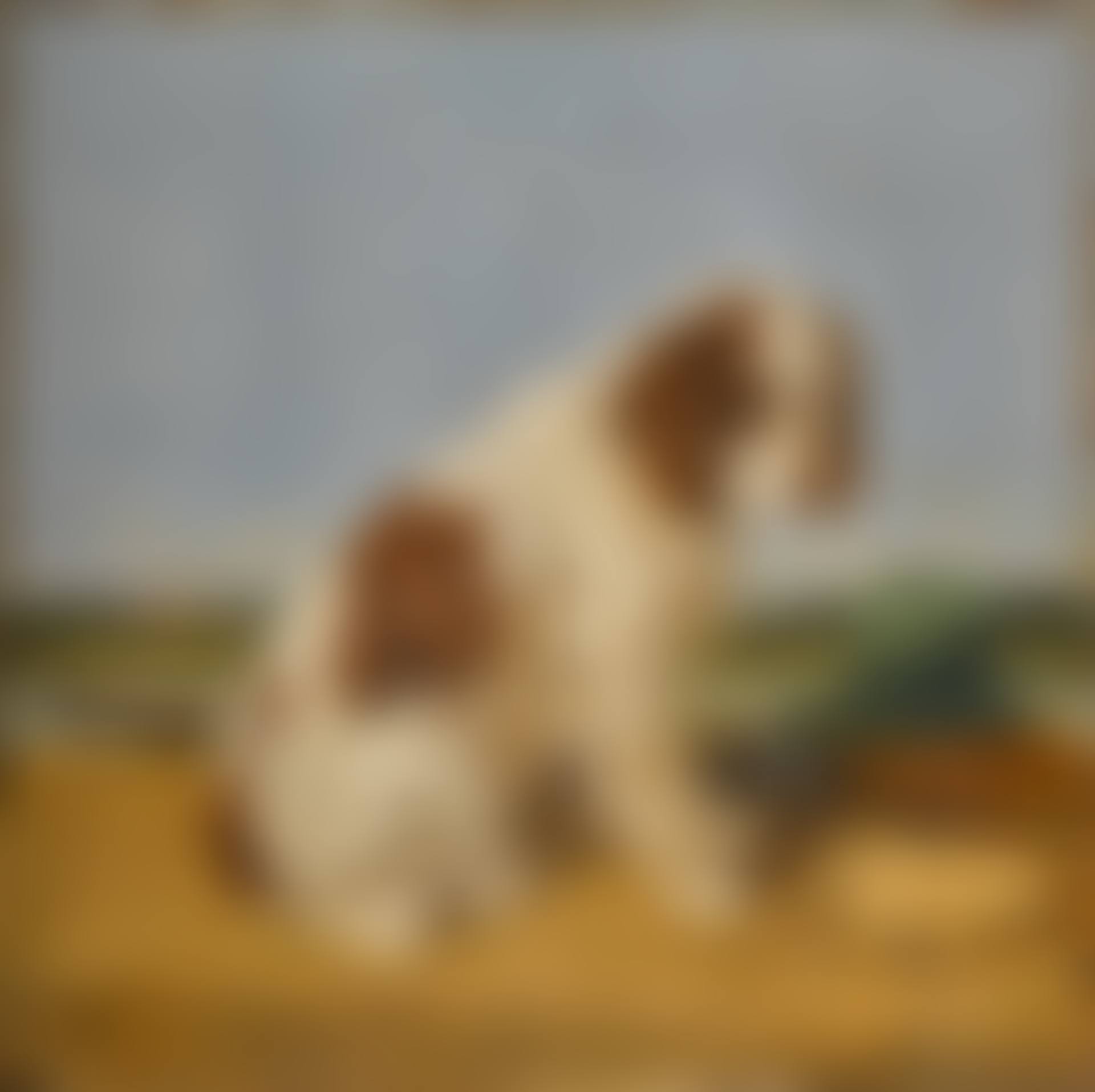 Waiting for Master (preview)