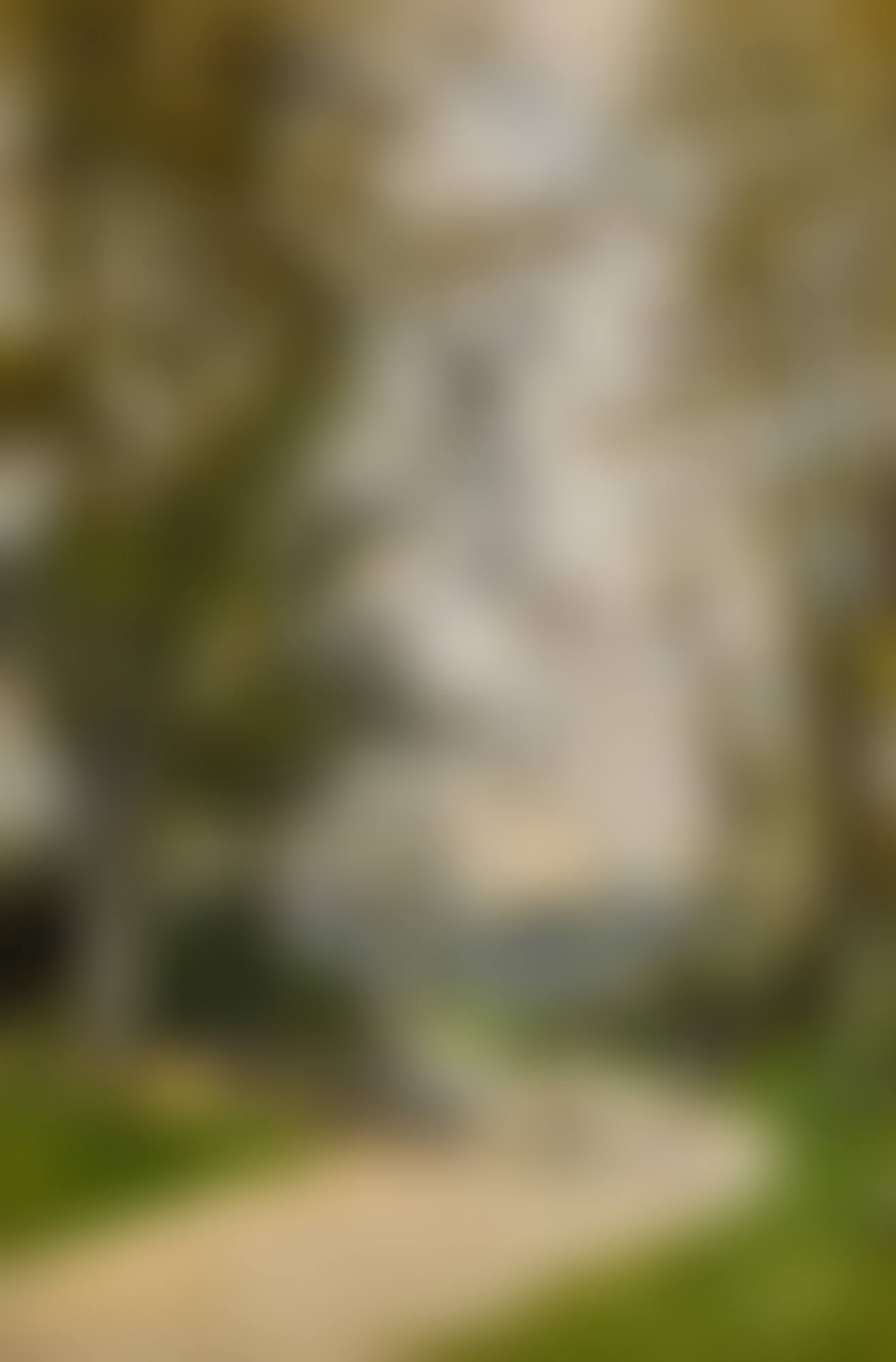 Le Parc du Trocadéro (preview)
