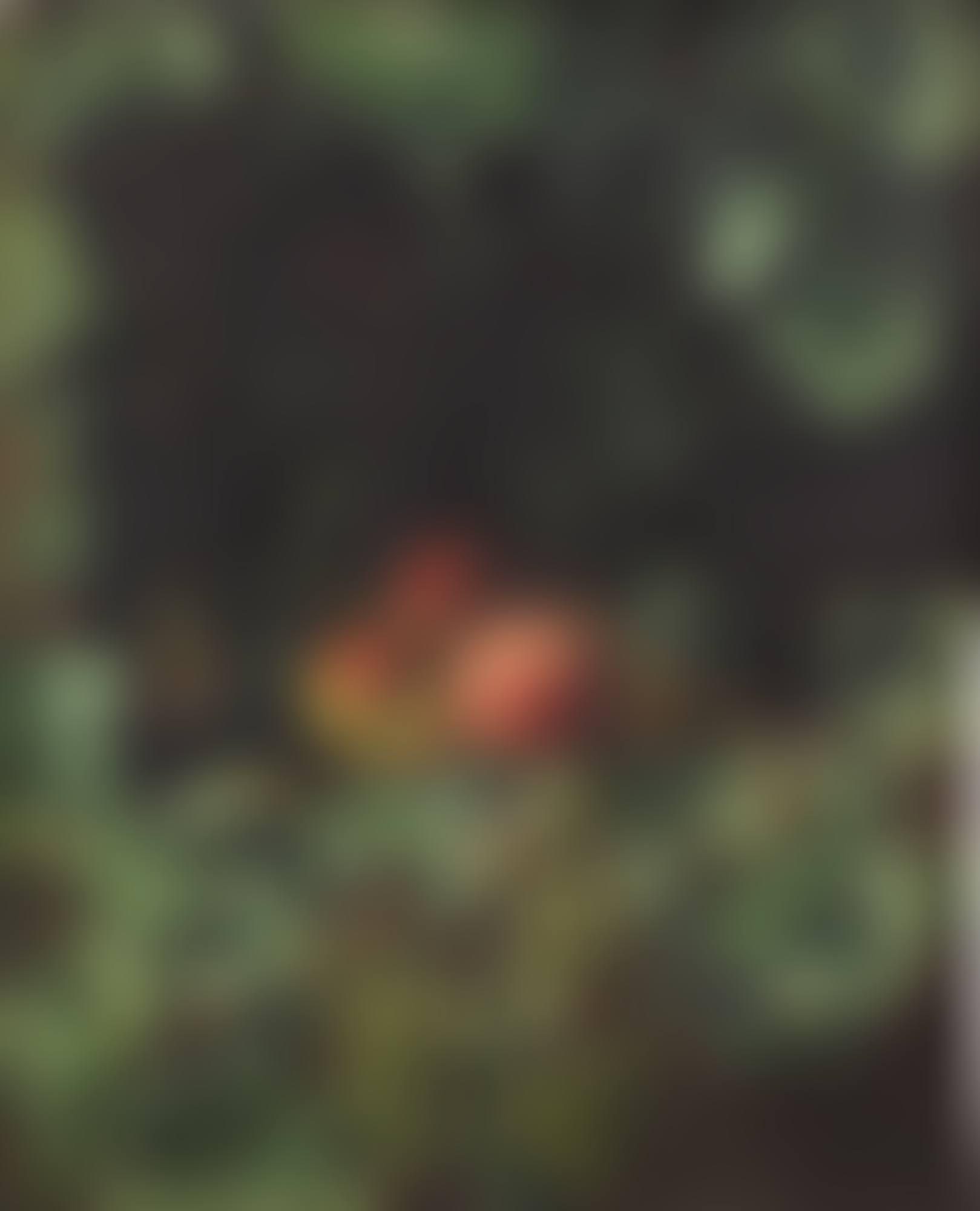 Peaches and Hazlenuts surrounded by a Grape Vine (preview)