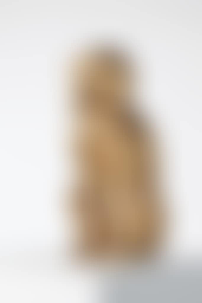 Singe Attentif I (preview)