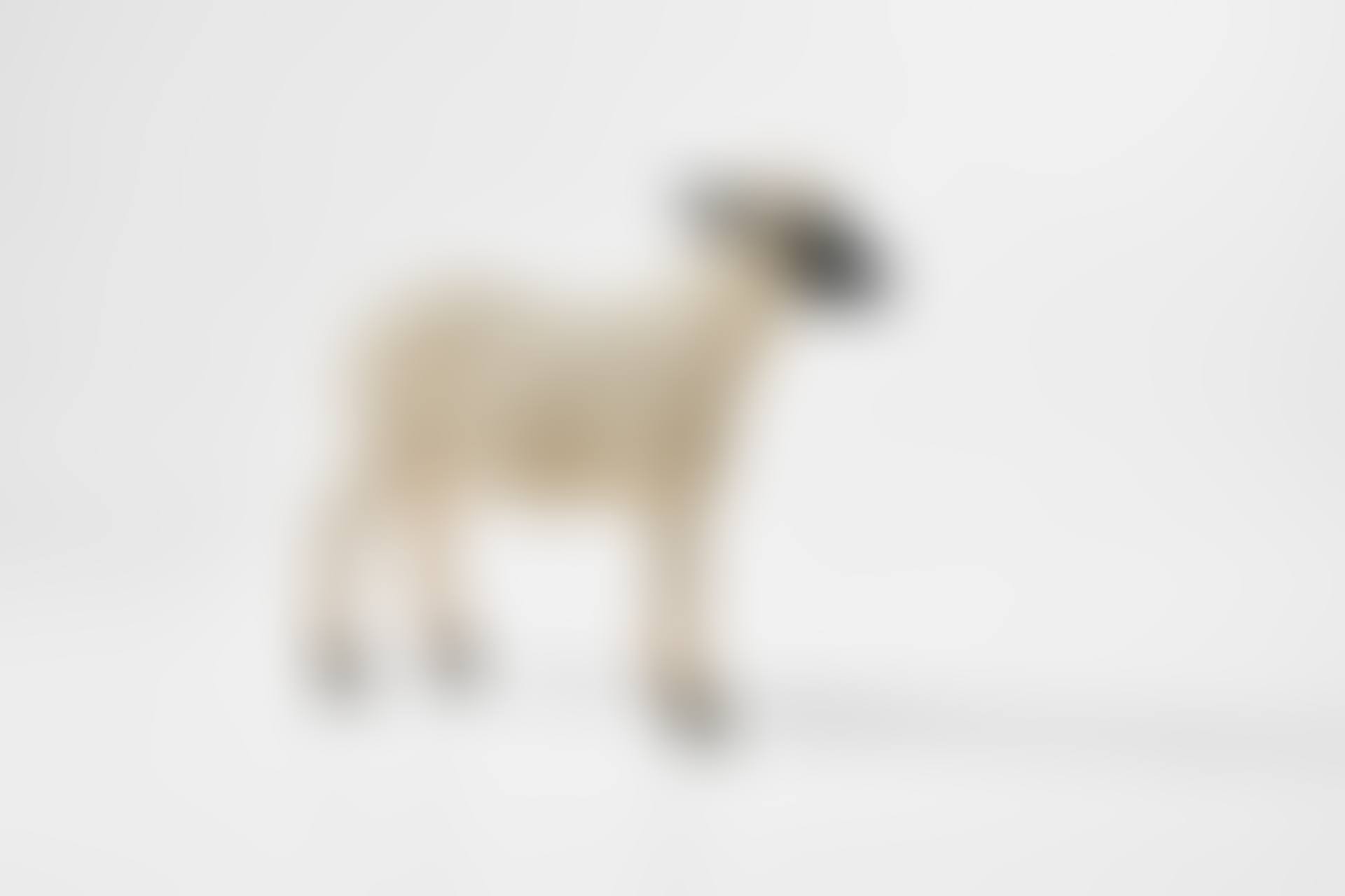 Agneau (preview)