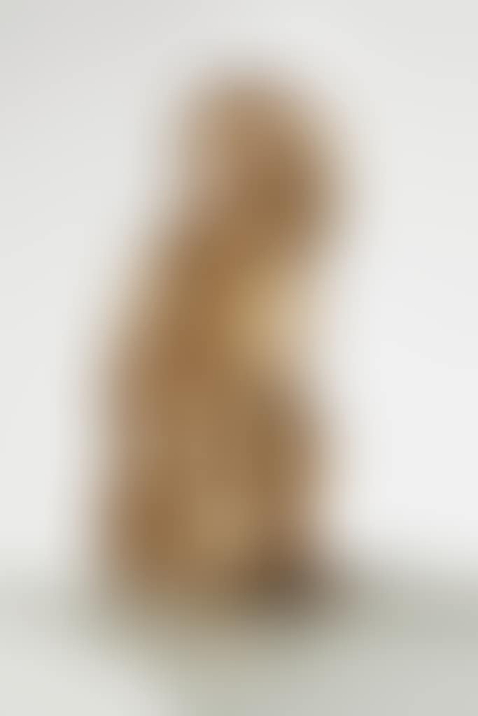 Singe Attentif II (preview)