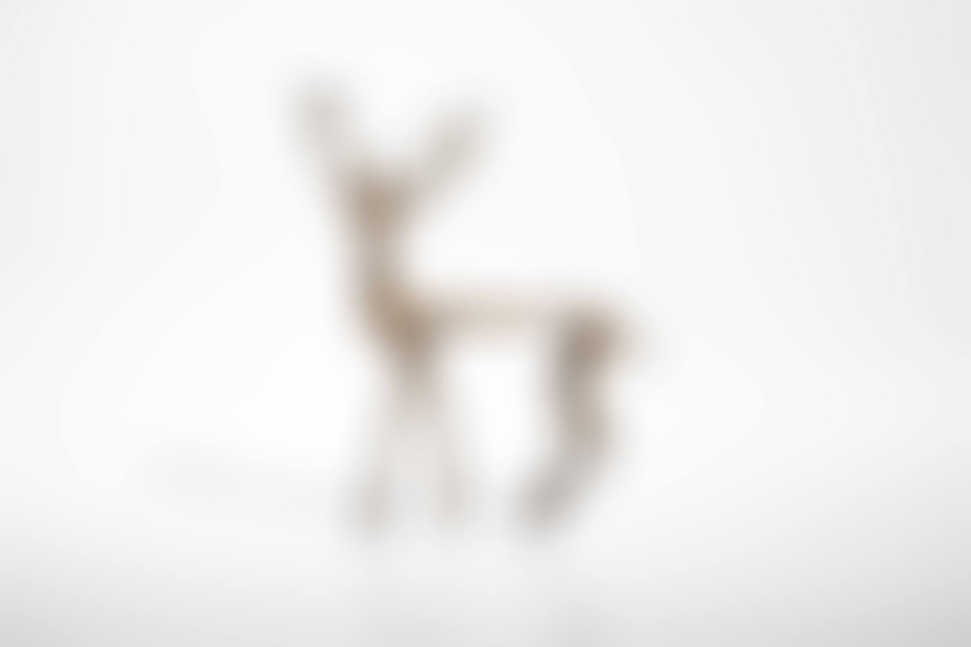 Cerf (preview)