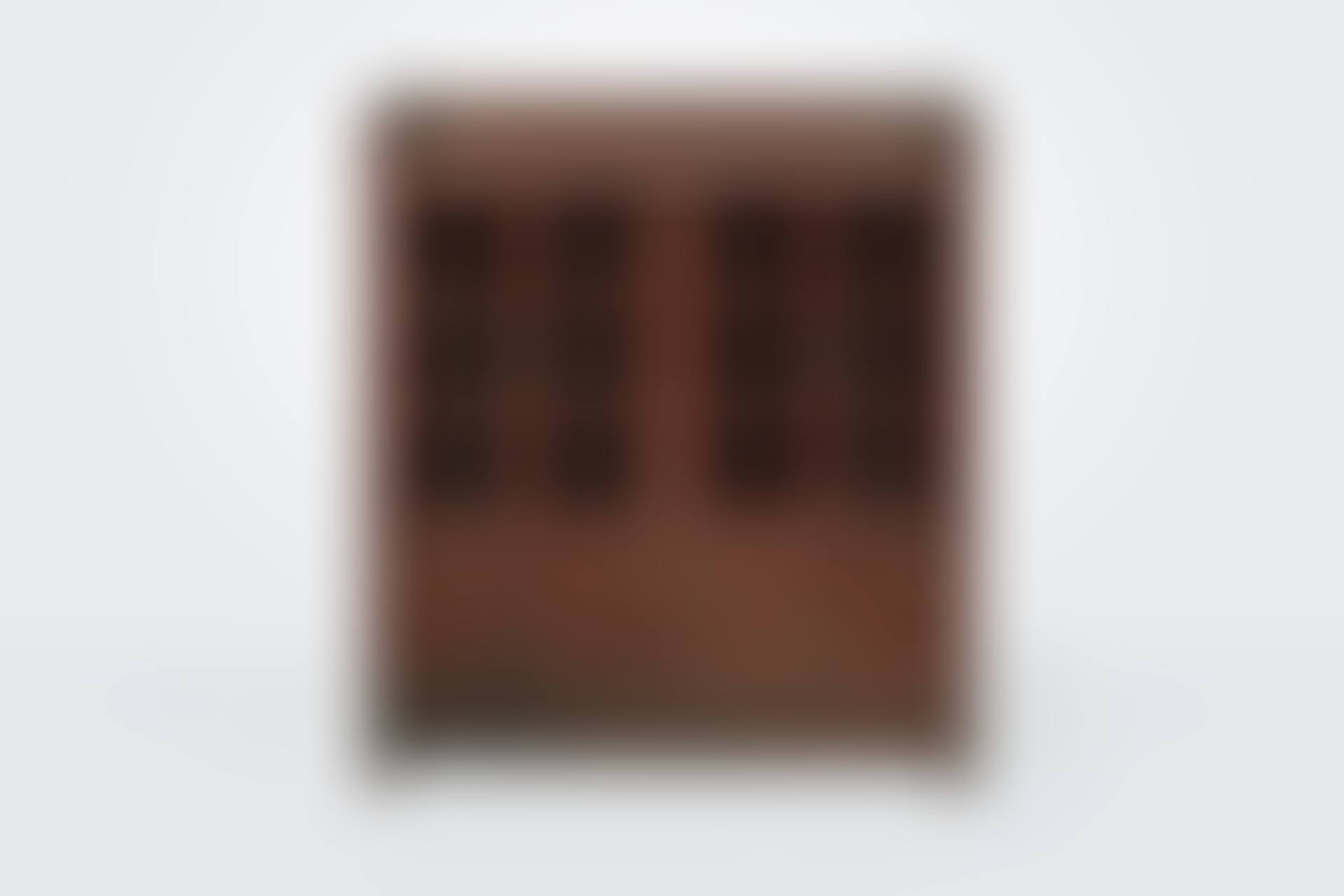 A Rare Four-Door Book Cabinet (preview)