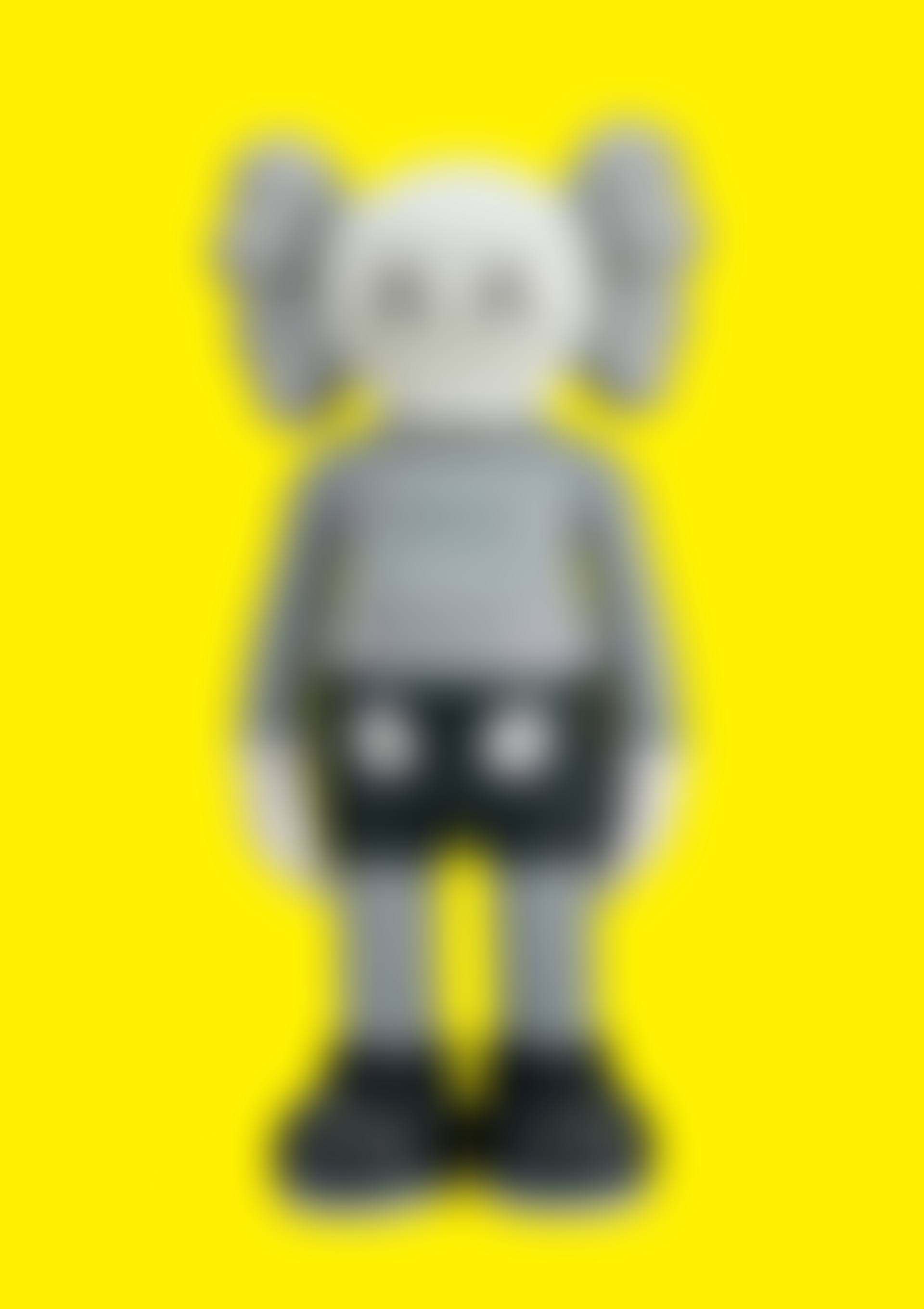 Companion (Grey) (preview)